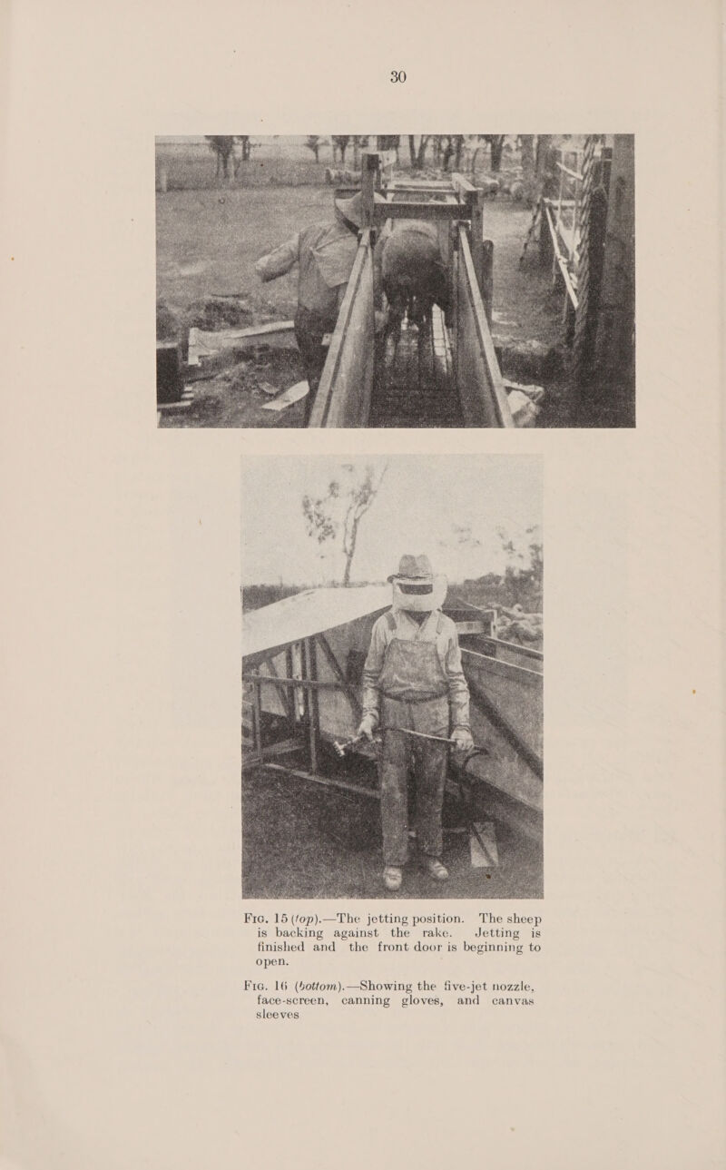  Fic. 16 (4ottom).—Showing the five-jet nozzle, face-screen, canning gloves, and canvas sleeves