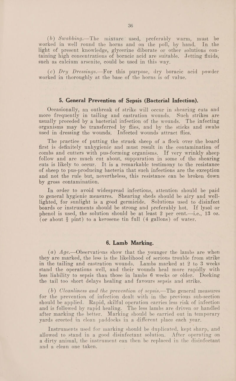 (b) Swabbing.—The mixture’ used, preferably warm, must be worked in well round the horns and on the poll, by hand. In the light of present knowledge, glycerine diborate or other solutions con- taining high concentrations of boracic acid are suitable. Jetting fluids, such as calcium arsenite, could be used in this way. (ce) Dry Dressings.—For this purpose, dry boracie acid powder worked in thoroughly at the base of the horns is of value. 5. General Prevention of Sepsis (Bacterial Infection). Occasionally, an outbreak of strike will occur in shearing cuts and more frequently in tailing and castration wounds. Such strikes are usually preceded by a bacterial infection of the wounds. The infecting organisms may be transferred by flies, and by the sticks and swabs used in dressing the wounds. Infected wounds attract flies. The practice of putting the struck sheep of a flock over the board first is definitely unhygienic and must result in the contamination of combs and cutters with pus-forming organisms. If very wrinkly sheep follow and are much cut about, suppuration in some of the shearing euts is hkely to occur. It is a remarkable testimony to the resistance of sheep to pus-producing bacteria that such infections are the exception and not the rule but, nevertheless, this resistance can be broken down by gross contamination. In order to avoid widespread infections, attention should be paid to general hygienic measures. Shearing sheds should be airy and well- lighted, for sunlight is a good germicide. Solutions used to disinfect boards or instruments should be strong and preferably hot. If lysol or phenol is used, the solution should be at least 2 per cent.—1.e., 13 oz. (or about % pint) to a kerosene tin full (4 gallons) of water. 6. Lamb Marking. (a) Age.—Observations show that the younger the lambs are when they are marked, the less is the likelihood of serious trouble from strike in the tailing and castration wounds. Lambs marked at 2 to 3 weeks stand the operations well, and their wounds heal more rapidly with less liability to sepsis than those in lambs 6 weeks or older. Docking the tail too short delays healing and favours sepsis and strike. (b) Cleanliness and the prevention of sepsis——The general measures for the prevention of infection dealt with in the previous sub-section should be applied. Rapid, skilful operation carries less risk of infection and is followed by rapid healing. The less lambs are driven or handled after marking the better. Marking should be carried out in temporary yards erected in clean paddocks in a different place each year. Instruments used for marking should be duplicated, kept sharp, and allowed to stand in a good disinfectant solution. After operating on a dirty animal, the instrument can then be replaced in the disinfectant and a clean one taken.