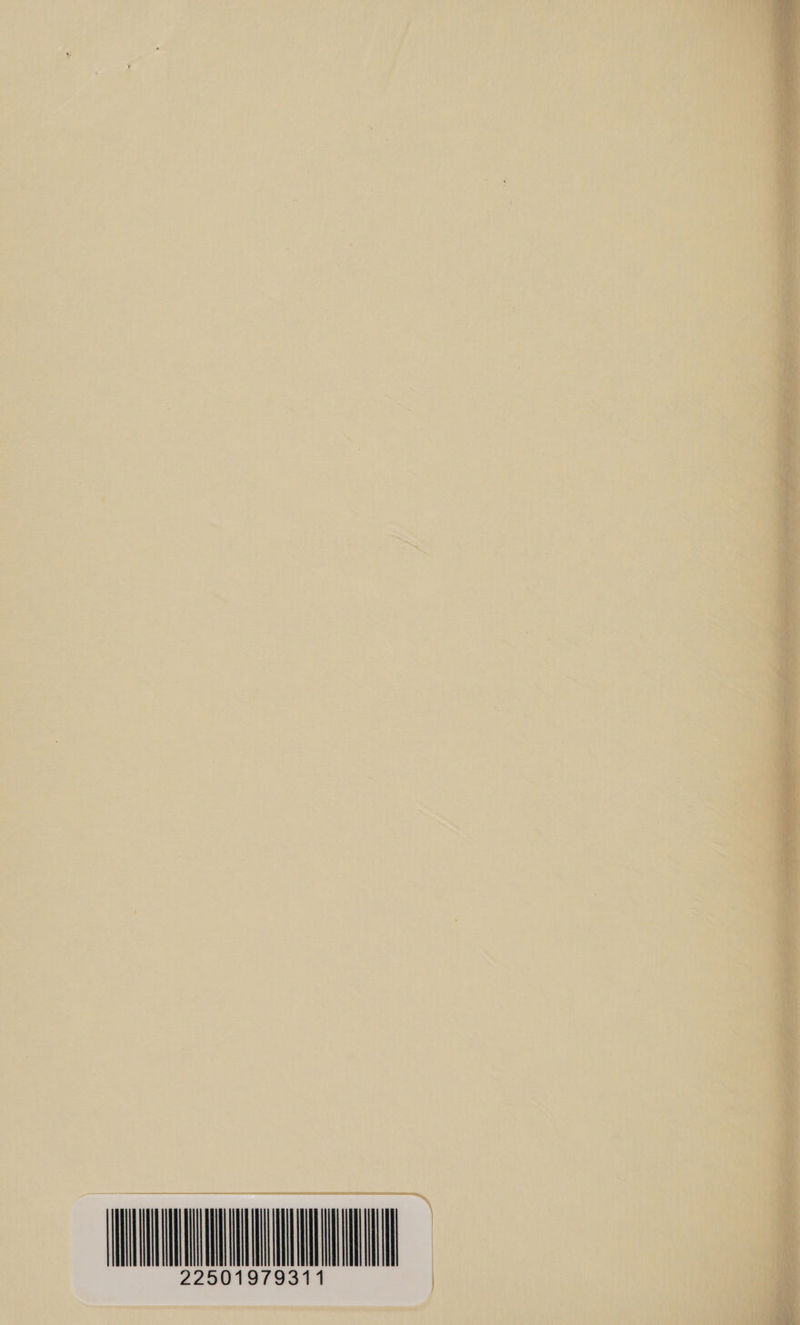 OM 22501979311