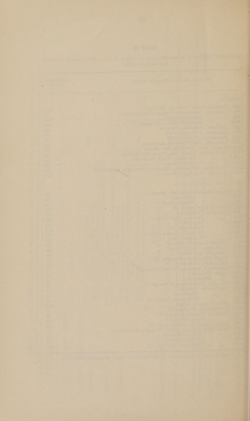            a = ae aN 7 ie a te id hy as ' a ge eed i RE te rl mire es rd ks : ~ snhdtitine-<ieuctiae i a Be a a aa ere droite iat det ight ns a 7 al gente — oe Ml: o -feeg ‘ 4 ; f * 4 i wi 30 a ; . = < x Fan a 7 as : ae > - : as : 3 = aeat : - ) eee jd ct. nfs? 7 ca AD a Ta wk oo bx. > « hie | Ta ' ayicuke ee , a > fy ¥ fF et E = ~ eae, a fe a é fn i e ov a - c, ” 55 : roe om ek hey = { awit f ee eee, ae et ee a, canines vate san cas <2 ae ee UP CS ane ook oa rites ag as EE 92 ee ee Se ag i ares ee — haprighaes. La i Can            : ce kOe tear capers # ‘ot atin ae ip me ee , a er ne ee 5 Meee. yar Ae eee He x = ms Ea > a Bh owe y eee ; Ne ae eae Sees E . a = ' ay . <4 = S a a om 7 i ¢ , ee Ne . 5 eee we eB pa aor ee tet fe at aaa PP anes > ¥ shack site hcaiannd fi &amp;-*&amp; 6 