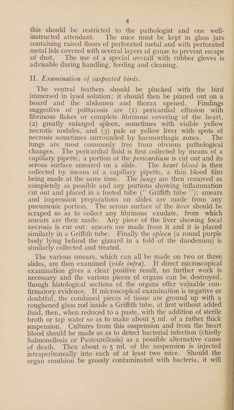 this should be restricted to the pathologist and one well- instructed attendant. The mice must be kept in glass jars containing raised floors of perforated metal and with perforated metal lids covered with several layers of gauze to prevent escape of dust. The use of a special overall with rubber gloves is advisable during handling, feeding and cleaning. Il. Examination of suspected birds. | _ The ventral feathers should be plucked with the bird immersed in lysol solution; it should then be pinned out on a board and the abdomen and thorax opened. Findings fibrinous flakes or complete fibrinous covering of the heart, (2) greatly enlarged spleen, sometimes with visible yellow necrotic nodules, and (3) pale or yellow liver with spots of necrosis sometimes surrounded by haemorrhagic zones. The lungs are most commonly free from obvious pathological changes. The pericardial fluid is first collected by means of a capillary pipette; a portion of the pericardium is cut out and its serous surface smeared on a slide. The heart blood is then collected by means of a capillary pipette, a thin blood film being made at the same time. The Jungs are then removed as completely as possible and any portions showing inflammation cut out and placed in a footed tube (“‘ Griffith tube ’’); smears and impression preparations on slides are made from any pneumonic portion. The serous surface of the liver should be scraped so as to collect any fibrinous exudate, from which smears are then made. Any piece of the liver showing focal necrosis is cut out; smears are made from it and it is placed similarly in a Griffith tube. Finally the spleen (a round purple body lying behind the gizzard in a fold of the duodenum) is similarly collected and treated. The various smears, which can all be made on two or three, slides, are then examined (vide infra). If direct microscopical examination gives a clear positive result, no further work is necessary and the various pieces of organs can be destroyed, though histological sections of the organs offer valuable con- firmatory. evidence. If microscopical examination is negative or doubtful, the combined pieces of tissue are ground up with a roughened glass rod inside a Griffith tube, at first without added — fluid, then, when reduced to a paste, with the addition of sterile broth or tap water so as to make about 5 ml. of a rather thick suspension. Cultures from this suspension and from the heart blood should be made so as to detect bacterial infection (chiefly Salmonellosis or Pasteurellosis) as a possible alternative cause of death. Then about 0:5 ml. of the suspension is injected intraperitoneally into each of at least two mice. Should the ~