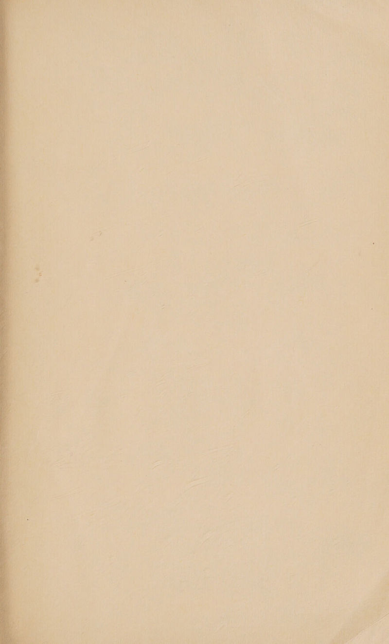  '  \ Qe , ‘ = i ' ’ 4 ae i 1 r t Fa + pe ’ * i > Ye fi aA. ys 1 i : ‘ : - ’ f ii ¥ Ase ‘i z “ ‘ | r ‘ j , 1 1 \ / 4 bs 1 : df 4 } t / 5 ‘ M NG \ id r J : p Ni i fyb) i f Ye Gest a |  { f a al Tee 