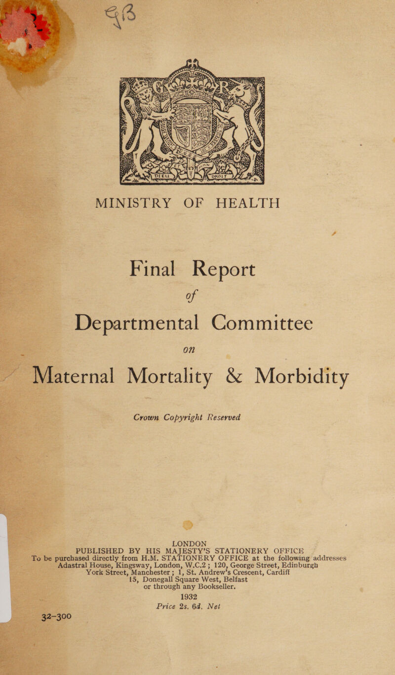      MINISTRY OF HEALTH Final Report of Departmental Committee On Crown Copyright Ieserved ie LONDON PUBLISHED BY HIS MAJESTY’S STATIONERY OFFICE hased directly from H.M. STATIONERY OFFICE at the following addresses dastral House, Kingsway, London, W.C.2; 120, George Street, Edinburgh . York Street, Manchester ; 1, St. Andrew’s Crescent, Cardiff 15, Donegall Square West, Belfast or through any Bookseller. 1932 Price 2s. 6d, Net 