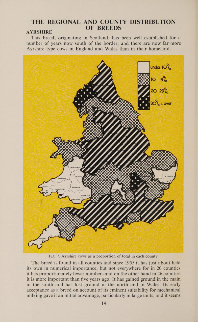 THE REGIONAL AND COUNTY DISTRIBUTION OF BREEDS AYRSHIRE This breed, originating in Scotland, has been well established for a number of years now south of the border, and there are now far more Ayrshire type cows in England and Wales than in their homeland.  Fig. 7. Ayrshire cows as a proportion of total in each county. The breed is found in all counties and since 1955 it has just about held its own in numerical importance, but not everywhere for in 20 counties it has proportionately fewer numbers and on the other hand in 26 counties it is more important than five years ago. It has gained ground in the main in the south and has lost ground in the north and in Wales. Its early acceptance as a breed on account of its eminent suitability for mechanical milking gave it an initial advantage, particularly in large units, and it seems