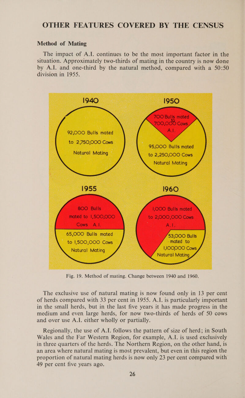 OTHER FEATURES COVERED BY THE CENSUS Method of Mating The impact of A.I. continues to be the most important factor in the situation. Approximately two-thirds of mating in the country is now done by A.I. and one-third by the natural method, compared with a 50:50 division in 1955. 1940 I950 92,000 Bulls mated to 2,750,000 Cows  95,000 Bulls mated to 2,250,000 Cows Natural Mating       1955 I960   65,000 Bulls mated to 1,500,000 Cows Natural Mating      Fig. 19. Method of mating. Change between 1940 and 1960. The exclusive use of natural mating is now found only in 13 per cent of herds compared with 33 per cent in 1955. A.I. is particularly important in the small herds, but in the last five years it has made progress in the medium and even large herds, for now two-thirds of herds of 50 cows and over use A.I. either wholly or partially. Regionally, the use of A.I. follows the pattern of size of herd; in South Wales and the Far Western Region, for example, A.I. is used exclusively in three quarters of the herds. The Northern Region, on the other hand, is an area where natural mating is most prevalent, but even in this region the proportion of natural mating herds is now only 23 per cent compared with 49 per cent five years ago.