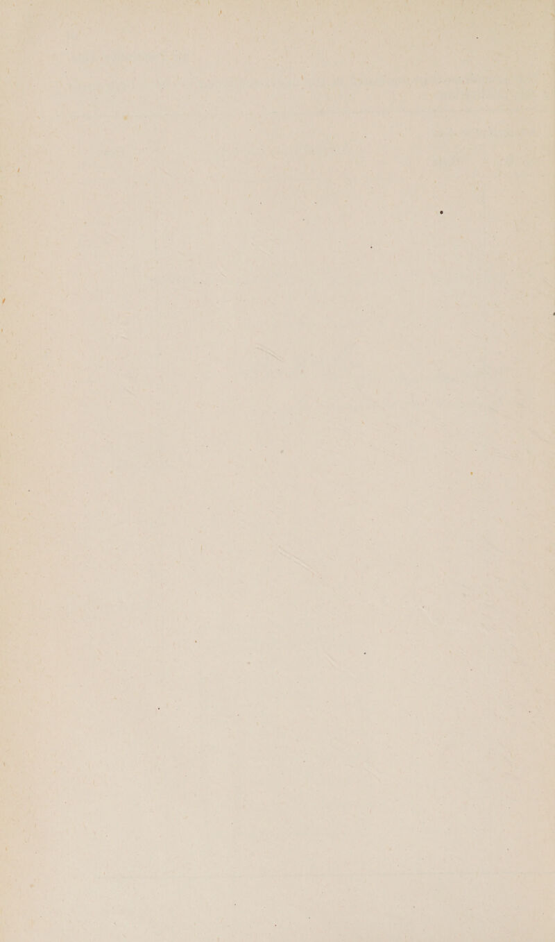 2 at      ; Sl saber. orca 1 is en a le 6a a : iad «Male CARs c otis . * £0 Mme EPs ( 7 fat cA          fi Lamy et  yee, ‘ cee \ ; : Lott ‘Si. at n ! Ise of 4 bad ge. Nie vy j Wray a ay ass , : Leh Ped J pe ee ‘ yy Sal y ; as : ; we Ps i : 3 | ; ) aT] \ ~ - 4 De ae bes OP he Salad ae y f gs td gs 4 PAY ih ee ¢ aye ee , Ls it Ss ER. © re pe * © omnis pe ad, Pa res me : - rey eed oe: th pines ie iN inch A TOMES ete a a = mn t + 7 | 7 fy oe Bins : ‘ Bis } M os j ‘1 cou : ’ Aad ‘ LN es y Uy ‘ K ' } ; ; Ay hs ers ’ ai i , fi j a | - i= F ; ‘ . ‘ : fe : \ a a i ' Sea Pak  as 4 a 4 7 ‘ar, , . : . i~ + ha ¥ 4 yt v ; vy are 7s ; . Ds a 1 a : ; } s th , st x 1 Waa . a Ig: 82