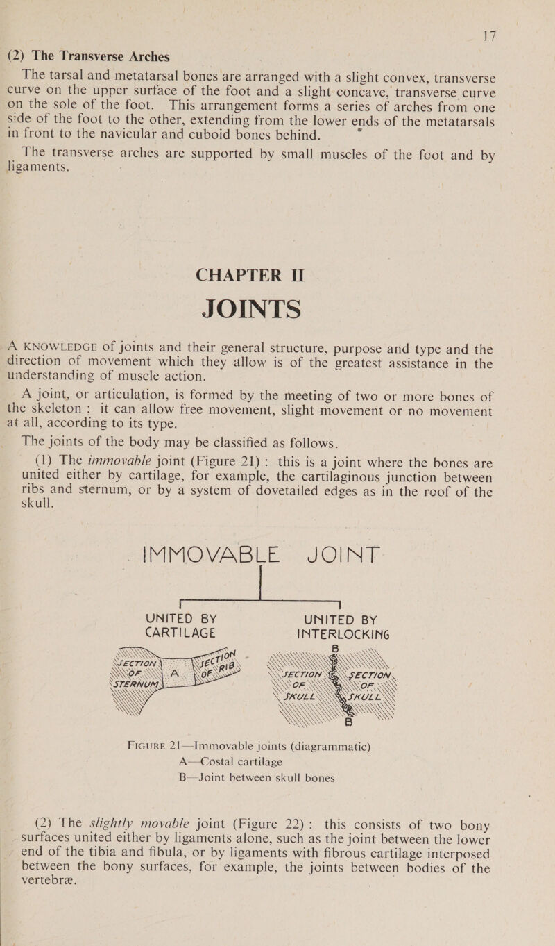 al (2) The Transverse Arches The tarsal and metatarsal bones are arranged with a slight convex, transverse curve on the upper surface of the foot and a slight concave, transverse curve on the sole of the foot. This arrangement forms a series of arches from one side of the foot to the other, extending from the lower ends of the metatarsals in front to the navicular and cuboid bones behind. The transverse arches are supported by small muscles of the foot and by ligaments. CHAPTER II JOINTS A KNOWLEDGE of joints and their general structure, purpose and type and the direction of movement which they allow is of the greatest assistance in the understanding of muscle action. A joint, or articulation, is formed by the meeting of two or more bones of the skeleton ; it can allow free movement, slight movement or no movement at all, according to its type. | : 3 The joints of the body may be classified as follows. (1) The immovable joint (Figure 21): this is a joint where the bones are united either by cartilage, for example, the cartilaginous junction between ribs and sternum, or by a system of dovetailed edges as in the roof of the skull. | -IMMOVABLE JOINT UNITED BY UNITED BY CARTILAGE INTERLOCKING       WN   FiGurRE 21—Immovable joints (diagrammatic) A—Costal cartilage B—Joint between skull bones (2) The slightly movable joint (Figure 22): this consists of two bony surfaces united either by ligaments alone, such as the joint between the lower end of the tibia and fibula, or by ligaments with fibrous cartilage interposed between the bony surfaces, for example, the joints between bodies of the vertebre.
