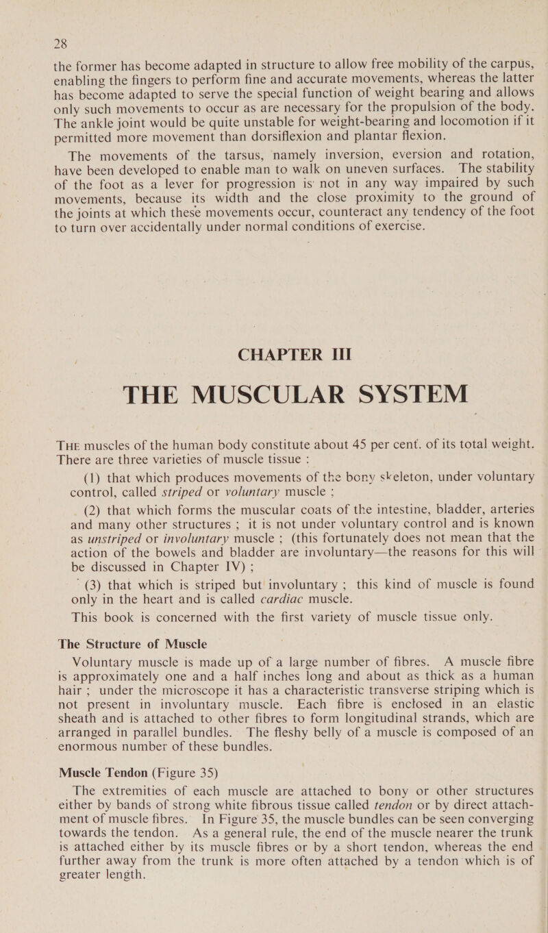the former has become adapted in structure to allow free mobility of the carpus, enabling the fingers to perform fine and accurate movements, whereas the latter has become adapted to serve the special function of weight bearing and allows only such movements to occur as are necessary for the propulsion of the body. The ankle joint would be quite unstable for weight-bearing and locomotion if it permitted more movement than dorsiflexion and plantar flexion. The movements of the tarsus, namely inversion, eversion and rotation, have been developed to enable man to walk on uneven surfaces. The stability of the foot as a lever for progression is’ not in any way impaired by such movements, because its width and the close proximity to the ground of the joints at which these movements occur, counteract any tendency of the foot to turn over accidentally under normal conditions of exercise. CHAPTER III THE MUSCULAR SYSTEM THE muscles of the human body constitute about 45 per cent. of its total weight. There are three varieties of muscle tissue : (1) that which produces movements of the bony skeleton, under voluntary control, called striped or voluntary muscle ; (2) that which forms the muscular coats of the intestine, bladder, arteries and many other structures ; it is not under voluntary control and is known as unstriped or involuntary muscle ; (this fortunately does not mean that the action of the bowels and bladder are involuntary—the reasons for this will” be discussed in Chapter IV) ; (3) that which is striped but involuntary ; this kind of muscle is found only in the heart and is called cardiac muscle. This book is concerned with the first variety of muscle tissue only. The Structure of Muscle Voluntary muscle is made up of a large number of fibres. A muscle fibre is approximately one and a half inches long and about as thick as a human hair ; under the microscope it has a characteristic transverse striping which is not present in involuntary muscle. Each fibre is enclosed in an elastic sheath and is attached to other fibres to form longitudinal strands, which are arranged in parallel bundles. The fleshy belly of a muscle is composed of an enormous number of these bundles. Muscle Tendon (Figure 35) The extremities of each muscle are attached to bony or other structures either by bands of strong white fibrous tissue called tendon or by direct attach- ment of muscle fibres. In Figure 35, the muscle bundles can be seen converging towards the tendon. As a general rule, the end of the muscle nearer the trunk is attached either by its muscle fibres or by a short tendon, whereas the end . further away from the trunk is more often attached by a tendon which is of — greater length. |
