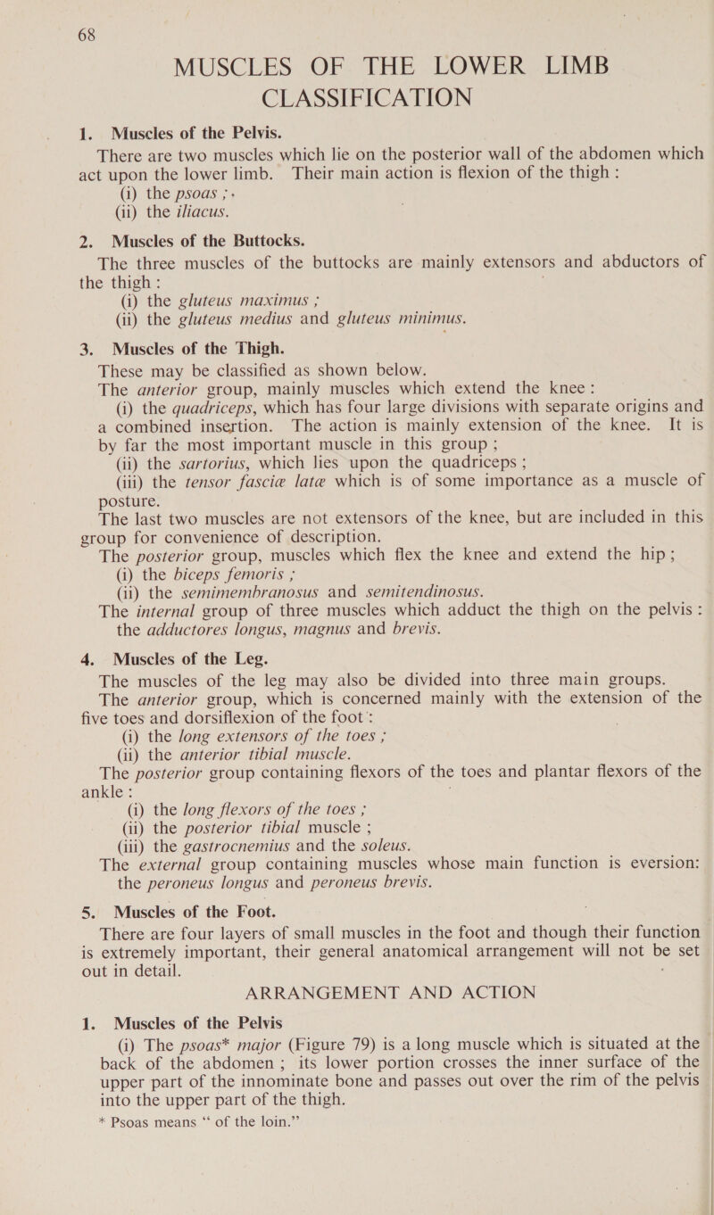 MUSCLES OF THE LOWER LIMB | CLASSIFICATION 1. Muscles of the Pelvis. There are two muscles which lie on the posterior wall of the abdomen which act upon the lower limb. Their main action is flexion of the thigh : (i) the psoas ; . | (ii) the iliacus. 2. Muscles of the Buttocks. The three muscles of the buttocks are mainly extensors and abductors of the thigh: | (i) the gluteus maximus ; (ii) the gluteus medius and gluteus minimus. 3. Muscles of the Thigh. These may be classified as shown below. The anterior group, mainly muscles which extend the knee: (i) the quadriceps, which has four large divisions with separate origins and a combined insertion. The action is mainly extension of the knee. It is by far the most important muscle in this group ; (ii) the sartorius, which lies upon the quadriceps ; (iii) the tensor fascia late which is of some importance as a muscle of posture. The last two muscles are not extensors of the knee, but are included in this group for convenience of description. The posterior group, muscles which flex the knee and extend the hip ; (i) the biceps femoris ; (ii) the semimembranosus and semitendinosus. The internal group of three muscles which adduct the thigh on the pelvis : the adductores longus, magnus and brevis. 4. Muscles of the Leg. The muscles of the leg may also be divided into three main groups. The anterior group, which is concerned mainly with the extension of the five toes and dorsiflexion of the foot: (i) the Jong extensors of the toes ; (ii) the anterior tibial muscle. The posterior group containing flexors of the toes and plantar flexors of the ankle : (i) the long flexors of the toes ; (ii) the posterior tibial muscle ; (iii) the gastrocnemius and the soleus. The external group containing muscles whose main function is eversion: the peroneus longus and peroneus brevis. 5. Muscles of the Foot. There are four layers of small muscles in the foot and though their function is extremely important, their general anatomical arrangement will not be set out in detail. ARRANGEMENT AND ACTION 1. Muscles of the Pelvis (i) The psoas* major (Figure 79) is a long muscle which is situated at the back of the abdomen ; its lower portion crosses the inner surface of the upper part of the innominate bone and passes out over the rim of the pelvis into the upper part of the thigh. | * Psoas means ‘‘ of the loin.”’