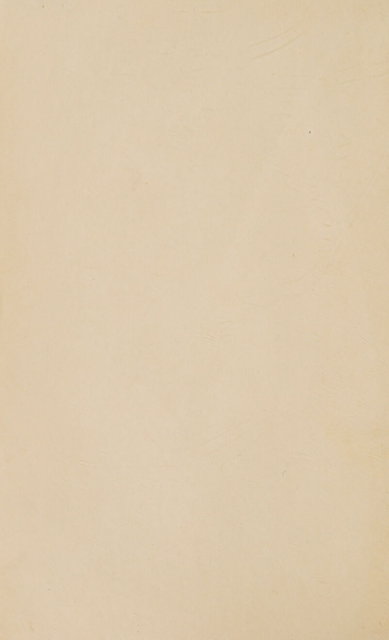 oe, eat: eee 2 i a Ve 