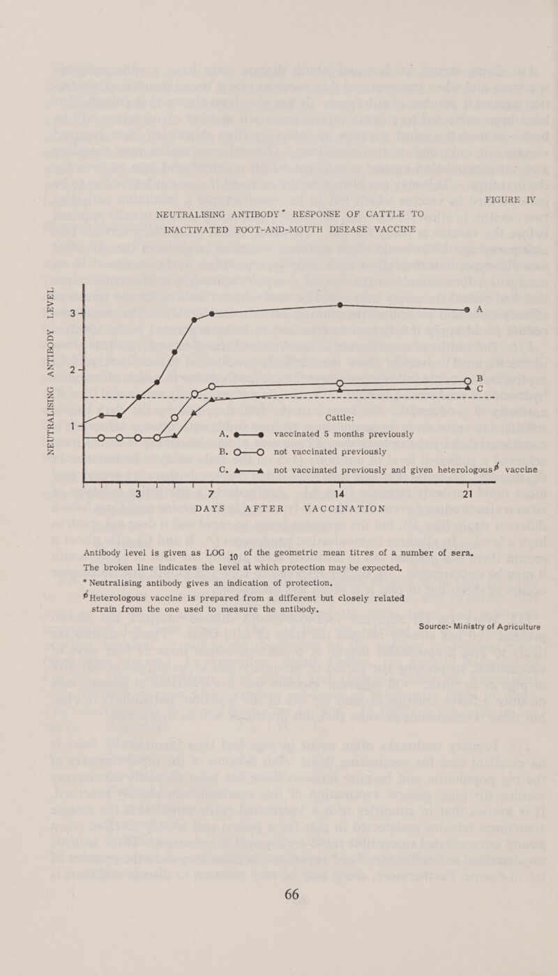 ANTIBODY LEVEL NEUTRALISING FIGURE IV NEUTRALISING ANTIBODY *~ RESPONSE OF CATTLE TO INACTIVATED FOOT-AND-MOUTH DISEASE VACCINE Cattle: A. @——@® vaccinated 5 months previously B. O—O _ not vaccinated previously C. #——a not vaccinated previously and given heterologous # vaccine 3 7 14 21 DAYS AFTER VACCINATION Antibody level is given as LOG 49 of the geometric mean titres of a number of sera. The broken line indicates the level at which protection may be expected. *Neutralising antibody gives an indication of protection. # Heterologous vaccine is prepared from a different but closely related strain from the one used to measure the antibody. Source:- Ministry of Agriculture