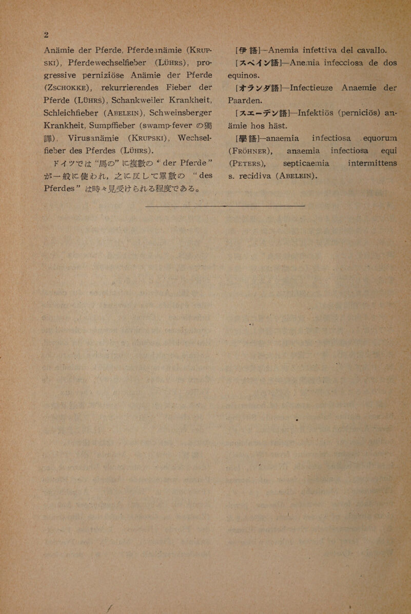 gressive pernizi6se 2 千 Pferde (Zscmokke)。 _rekurrierendes Fieber der _ Pferde (Lt OHRS) , Schankweiler Krankheit, 、Schleichneber (ABErEIN), Schweinsberger Si Krankheit, Sumpffeber (Swamp- -fever の 猫 「 mnie hos 0 、 Virusanamie (KRopskr), BNBSN - [ 作 2D2 1fex 、feber des Pferdes (LOBRS). 人 MMNONDN UNEDROiMM 6 emem 0 ドイ ッ で は “ 請 の ” に 複数 の “der Pferde” (PErrRs)。 が 一 般 に 使わ れ , 之 に 反し て 上 塞 散 の des ferdes 6 は 時 る 見 受け られ る 程度 で ある 。 