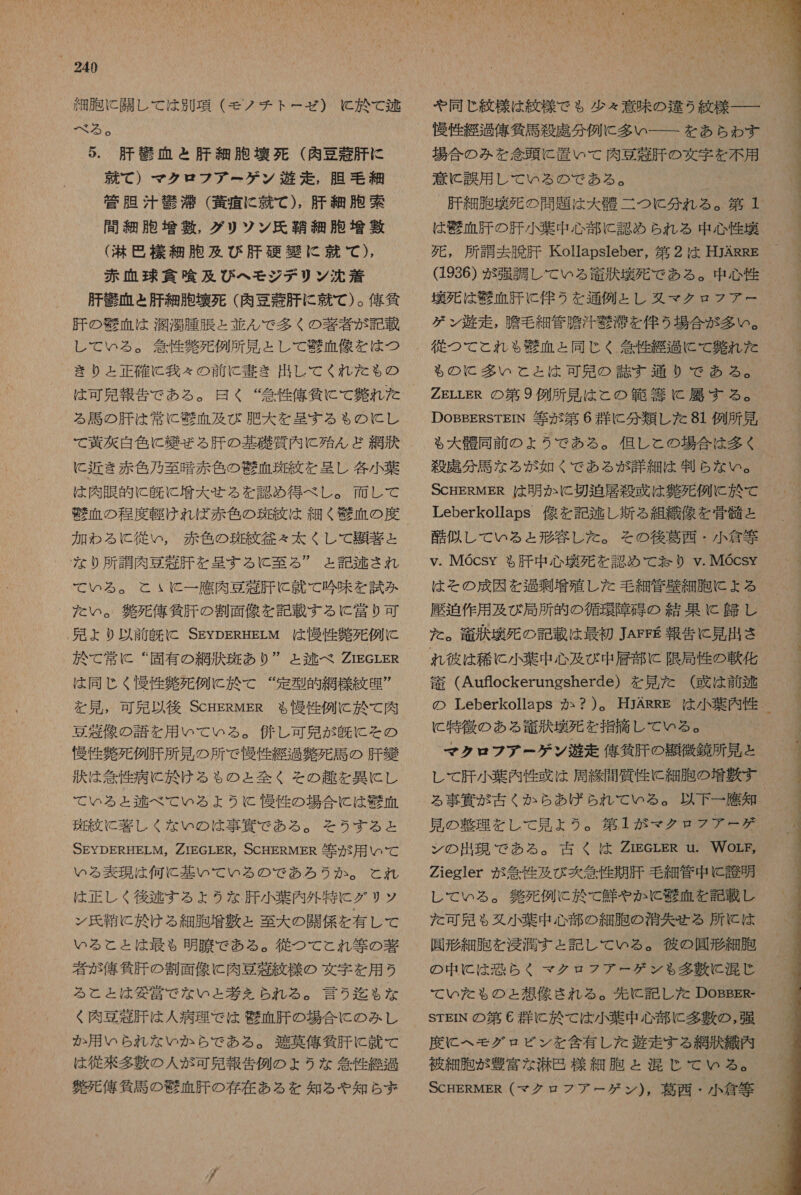 細胞 に 関し て は 別項 (モク チト ー ゼ ) と 於 て 聞 べろ る 。 5. 肝 殴 息 と 肝 細 胞 壊 死 ( 肉 豆 著 肝 に 就 て ) マク ロフ アー ゲン 遊走 , 胆 毛 細 菅 有 阻 汁 頑 菩 ( 葵 首 に 就 て ), 肝 細 胞 案 - 間 細胞 増 数 , グ ダリ ツン 氏 靖 細 肥 増 著 ( 洒 巴 様 細 肥 及び 肝 硬 手 に 就 て ), 赤血球 倉 喰 及び へ モジ デリ ン 沈 着 肝 毅 血 と 肝 細 胞 壊死 ( 肉 豆 肝 に 就 て )。 俺 貸 肝 の 黄 血 は 潤 濁 腫 肛 と 並ん な で 多く の 著者 が 記載 し て いる 。 箇 隆 貞 死 例 所 見 と し て 喚 血 像 を は つ きり と 正確 に 我々 の 前 に 美 き 出し て くれ を だ も の は 可 見 報告 で ある 。 曰く “ 礼 性 俺 仙 に て れ た る 馬 の 肝 は 常に 壁 血 及び 肥大 を 呈す る も の に し て 黄 克 白色 に 幾 ぜ る 肝 の 基礎 質 内 に 殆 ん ど 網 訴 に 近 き 赤色 乃至 暗 赤 色 の 家 血 区 紋 を 呈し 各 小 葉 は 肉眼 的 に 凡 に 増大 せる を 認め 得 べ し 。 耐 し て 咽 の 程度 軽 け れ ば 赤色 の 斑 絞 は 細く 凡 血 の 度 加わ る 従い, 赤色 の 斑紋 符 々 太く し て 視 著 と な り 所 調 肉 豆 北 計 を 呈す る C 至 る” と 記 李 さ れ て いる 。 こと い (C 一 鷹 肉 豆 乃 肝 に 就 て 吟味 を 試み た い 。 区 死 刊 気 肝 の 割 面 像 を 記載 する に 堂 り 可 . 史 より 以前 凡 に SEyDERHELM は 慢性 敬 死 例 に く で 常に “固有 の 網 汰 坦 あ り  と 移 べ ZrEGLER は 同じ く 音 性 欧 例 に 於 て “定型 的 網 様 紋 四  を 見 , 可 見 以後 SCHERMER も 慢性 例 に 於 て 内 豆 先 像 の 語 を 用 いて いる 。 併 し 可 晃 が 皮 に その 侵 性 解 死 例 肝 所 見 の 所 で 慢性 経過 盤 死 馬 の 肝 幾 故 は 稚 性 病 に 於 ける も の と 全く その 趣 を 異 に し て いる ょ と 李 べ で て いる よう に と 送 性 の 場合 に は 器 血 狗 5 絞 に 著しく な い の は 事 真 で ある 。 そう する と SEYDERHELM。 の IEGLER,。 SCHERMER 待 用 いで て いる 表現 は 何 に 基 い て いる の で あろ うか 。 と れ は 正しく 後 多 す る よう な 肝 小 葉 内 外 特 に グリ ッ ン 氏 珍 に 於 ける 細 肥 増 青 と 至 大 の 開 係 を 有 し て いる と と は 最も 明瞭 で ある 。 従 つ て こと れ 等 の 著 莉 が 俺 貸 肝 の 割 面 像 に 肉 豆 舟 紋様 の 文字 を 用 う る と と は 修 営 で な いと 巻 え られ る 。 言う 迄 も な く 肉 豆 先 肝 は 人 病理 で は 喚 血 肝 の 場合 に の み し か 用 いら れ な いか ら で あ る 。 薄 英 俺 徐 肝 に 就 て は 従来 多 敷 の 人 が 可児 報告 例 の よう な 劉 性 総 包 名 玩 億 貸 馬 の 史 血 肝 の 存在 ある を 知る や 知ら ず  や 同じ 紋様 は 紋様 で も 少々 意味 の 違う 紋様 一 一 衣 性 経過 俺 気 馬 殺 諾 分 例 に 多い ーー- を あら ゎ す 場合 の み を 交 頭 に 連 い て 肉 豆 革 肝 の 文字 を 不用 意 に 誤用 し て いる の で ある 。 “ 肝 細 胞 環 死 の 問題 は 大 骨 二 つ c 分 れる 。 第 1 は 机 血 肝 の 肝 小 葉 中 心 部 に 認め られ る 中 心性 環 ' 死 , 所 講 去 脆 肝 Kollapsleber, 第 2 は HJARRE (1936) が 強調 し て いる 者 克幸 死 で ある 。 中 心性 壌 死 は 加 血 時 に 伴う を 通例 と し 奴 マ クタ ロフ アー ゲン 遊走 , 騰 毛 細管 騰 汗 束 薄 を 伴う 場合 が 多い 。  も の に 多い こと と は 可児 の 誌 す 通 り で ある 。 ZELLER の 第 9 例 所 見 は と の 範 箸 に 属す る 。 DoBBERSTEIN 等 が 第 6 娠 に 分 類 し た 81 例 所 見 ゎ も 大杉 同 前 の よう で ある 。 但し と の 場合 は 多く 殺 虎 分 馬 な る が 如く で ある が 詳細 は 制 ら な い 。 ScHERMER は 明か に 切迫 居 殺 或 は 抽 死 例 に 於 て Leberkollaps 像 を 記 丈 し 新 る 組織 像 を 骨 酷 と 酷 公 し て いる と 形容 し た 。 その 後 葛西 ・ 小 倉 等 v. MGcsY も る 肝 中 心 環 現 を 認め て なり Yv.MQcSY は その 成因 を 包 剰 載 殖 し た 毛細 管 歴 細胞 に ょ る 礎 迫 作用 及び 局所 的 の 循環 障 帯 の 結果 に 包 し た 。 得 汰 壊死 の 記載 は 最初 JAFFE 報告 に 見 出さ れ 彼 は 稀 に 小葉 中 心 及び 中 居 部 に 限局 性 の 軟化 千 (Aufiockerungsherde) を 見 た ( 或 は 前 本 の Leberkollaps か ? )。 HJARRE は 小葉 内 性 と 特 徴 の ある 埋 汰 壊死 を 指摘 し て いる 。 マク ロフ アー ゲン 遊走 俺 気 肝 の 詩 徴 鏡 所 見 と し レ て 肝 小 葉 内 性 惑 は 周 終 間 質 性 に 細胞 の 増 敷 す           見 の 整理 を し て 見 よう 。 第 1 が マク ロフ アー ゲ ン の 出現 で ある 。 天 く は ZrEGLER u. WorE, Ziegler が 委 性 及び 爽 管 性 期 肝 毛細 管 中 に 詩 明 し て いる 。 負 死 例 に 於 て 鮮やか に 中 血 を 記載 し た 可 兄 も 婦 小 葉 中 心 部 の 細胞 の 清和 失せ る 所 に は 園 形 細胞 を 浸 滴 す と 記し て いる 。 彼 の 彫 形 細胞 の 中 に は 恐らく マク ロフ アー ゲン も 多 沖 に 混 じ て いた だ も の と 想像 され る 。 先 に 記し た DOBBER- STEIN の 第 6 群 に 於 て は 小 業 中 心 部 に 多 敷 の , 強 度 に へ モグ ロビ ン を 含有 し た 遊走 する 網 狼 織 内 彼 細 胞 が 豊富 な 汐 巴 様 細胞 と 混 じ て いる 。 OCHERMER (マク ロン デー ゲン ジル 庄 西 ・ 小倉 等 &gt; 記 as ュー ee