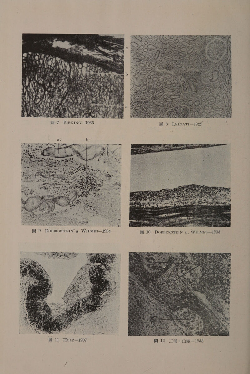  G   1935   彫 9 DOBBERSTEIN nu. WIrLMpBS 一 1934 岡 10 DoBBERSTEIN nu. WIrMEs 一 1934 