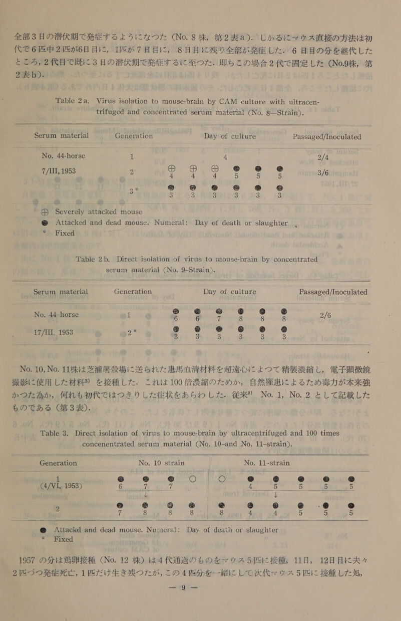 代 で 6 匹 中 2 匹 が 6 日 目 に , 1 匹 が 7 目 目 に , 8 日 目 に 残り 全部 が 発症 し た . 6 日 目 の 分 を 継 代 し た と ころ 2 代目 で 既に 3 日 の 潜伏 期 で 発症 する に 至 つ た . 即ち この 場合 2 代 で 固定 し た CNo.9 株 , 第 2 表 b). Table 2a. Virus isolation to mouse-brain by CAM culture with ultracen- trifuged and concentrated serum material (No. 8 一 Strain ).    Serum material Generation Day of culture Passaged/Inoculated No. 44-horse 1 4 2/4 の DD の で @ の 7/1II, 1953 2 4 4 | 5 8 5 3/6 o ボ ED 勢 乾 5) ー W 8 3 3 3 3 3 3 Seyerely attacked mouse Attacked and dead mouse. Numeral: Day of death or slaughter * 。 Hixed Table 2b. Direct isolation of virus to mouse-brain by concentrated serumr material (No. 9-Strain ).   Serum material Generation Day of culture Passaged/Inoculated AM 0 ドウ ド 2 トド) W 間 ドリ No. 44-horse 1 6 6 2 8 8 8 2/6 * 介 @ @ @ 介 17/III, 1953 2 還 2 2 3 3 2  No. 10, No. 11 株 は 芝浦 飛 殺 場 に 送ら れ た 愚 馬 血 清 材料 を 超 遠 心 に よ つ て 精製 濃縮 し , 電子 顕微 鏡 撮影 に 使用 し た 材料 ? を 接種 し た . これ は 100 倍 濃縮 の た めか , 自然 私 思 に よる た め 毒 力 が 本 来 強 か つた 為 か , 何れ も 初代 で は つき り し た 症状 を あら わし た . 従来 り No. 1, No. 2 と し て 記載 し た も の で ある (第 3 表 ). Table 3. Djrect isolation of virus to mouse-brain by ultracentrifuged and 100 times concenentrated serum material (No. 10-and No. 11-strain ).    ]     2 No. 10 strain | No. 11-strain 山 夫 介 に り 〇 氏 ドリ 欠 ド 5) 人 (4/VL 1953) PT 7 ak 5 5 5 | ゥ 栓 勉 血 だ 但 旬 欠 ・ 但 交 の 8 8 8 8 4 4 5 5 5   礁 Attackd and dead mouse. Numeral: Day of death or slaughter * Fixed 1957 の 分 は 玩 卵 接種 (No. 12 株 ) は 4 代 通 過 の も の を マウ ス 5 区 に 接種 。 11 日 , 12 日 目 に 夫々 2 匹 づ つ 発 症 死 亡 , 1 匹 だ け 生 き 残 つた が , この 4 匹 分 を 一 緒 に し て 次 代 マ ウス 5 匹 に 接種 し た 処 ,