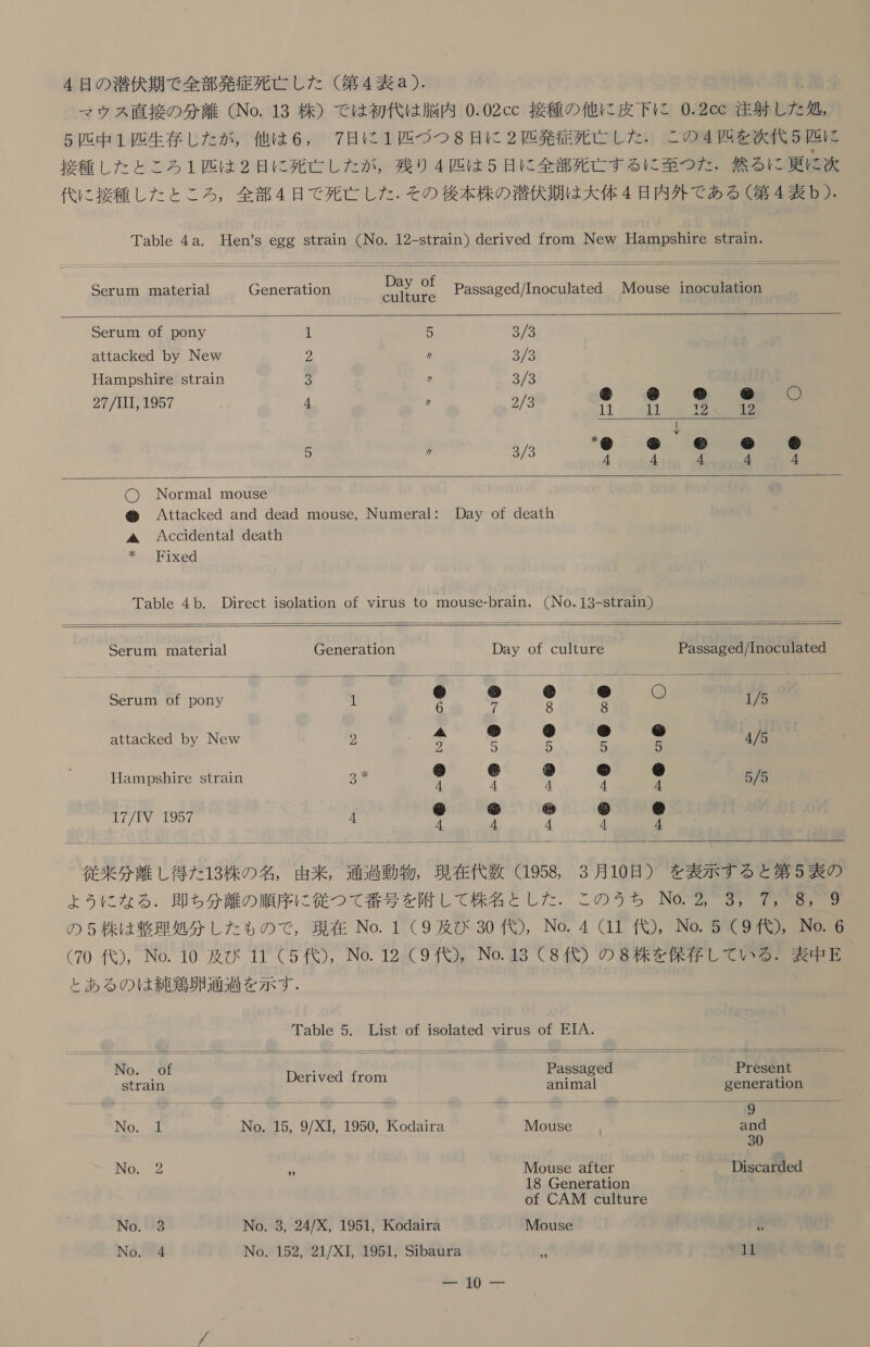 マッ ウス 直接 の 分 離 (No. 13 株 ) で は 初代 は 脳 内 0.02cc 接種 の 他 に 皮下 に 0.2cc 注射 し た 処 5 匹 中 1 想 生 存 し た が , 他 は 6, 7 日 に 1 匹 づつ つ 8 日 に 2 距 発 症 死亡 し た . この 4 中 を 次 代 5 史 に 接種 し た と ころ 1 匹 は 2 日 に 死亡 し た が , 残り 4 匹 は 5 日 に 全部 死亡 する に 至 つた . 然るに 更に 次 代 に 接種 し た と ころ , 全部 4 日 で 死亡 し た . その 後 本 株 の 潜伏 期 は 大 体 4 日 内 外 で ある (第 4 表 b). Table 4a. Hen's egg strain に 12-strain ) derived from New Hampshire strain.     Serum material Generation Day o Passaged/Inoculated Mouse inoculation Serum of pony 1 5 8/8 attacked by New M 2 3/3 Hampshire strain 3 ヶ 3/3 * 5 @ @ @ O ひ O 2774HN9577 4 2/9 11 11 12 12 \ ※ ドリ し ) に 時 人 @ 3 373 4 kk 〇 ) Normal mouse の Attacked and dead mouse, Numeral: Day of death 人 Accidental death Fixed Table 4b. Direct isolation of virus to mouse-brain. (No.13-strain )    Serum material Generation Day of culture Passaged/Inoculated @ @ @ @ ひ O Serum of pony 由 6 2 8 8 1/5 上 2 チバ に ) し ) L) 和 attacked by New 2 2 5 5 5 5 4/5 as * 価 し ドリ 人 人 で Hampshire strain 3 4 4 4 4 4 5/5 05 し ) に) に 2 』 17/IV 1957 4 4 4 の 4  | | ] | 従来 分 離 し 得 た 13 株 の 名 , bg (5552 よう に な る . 即ち 分 離 の 順序 に 従 つて 番号 を 附 し て 株 名 と し た . この うち No. る 935 7』8, 9 の 5 株 は 整理 処分 し た も の で , 現在 No. 1 (9 及び 30 代 ), No. 4 (11 代 ), No. 5 (9 代 ), No. 6 ⑦0 代 ), No. 10 及び 11 (5 代 ), No. 12 (9 代 ) No.13 (8 代 ) の 8 株 を 保存 し て いる 。 表 中 E る の は 純 鵜 罰 通 過 を 示す . Table 5. List of isolated virus of EIA. 暫時 Present    。 of 3 Strain Derived from animal generation を woe sue 9 と で お そく 8 る ー 一 配 ーーーーーーー に INO。 Hi No. 15, 9/X1, 1950, Kodaira Mouse 。 and 30 NO 議 2 了 IMouse after Discarded 18 Generation of CAM culture No. 3 No. 3, 24/X, 1951, Kodaira Mouse トド No. 4 No. 152, 21/XI, 1951, Sibaura 11 3 / 0 放 こ こ