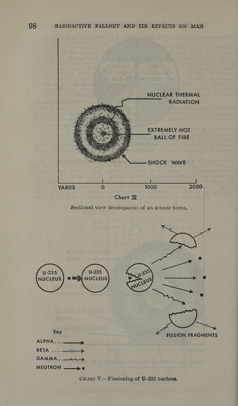 NUCLEAR THERMAL RADIATION   EXTREMELY HOT BALL OF FIRE 37 DNase ti SHOCK WAVE YARDS 0 ~ 1000 2000 Chart IV Sectional view development of an atomic burst. U-235 } © NUCLEUS  ort Key FISSION FRAGMENTS ALPHA. J lll BETA ....—-o— GAMMA. ._+~-5 NEUTRON ———» 6 CHART V.—Fissioning of U—235 nucleus,