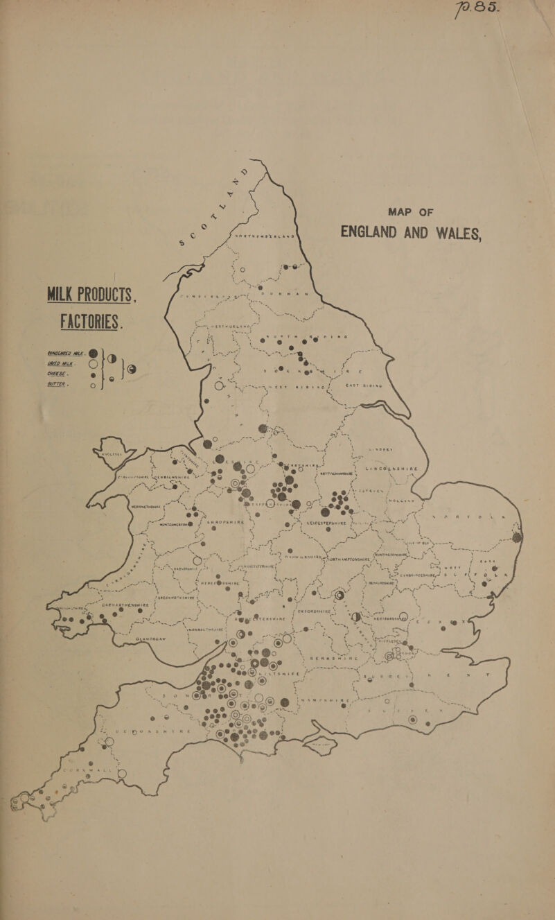 | | ce eae MAP OF Let hf ee ENGLAND AND WALES, MILK PRODUCTS. FACTORIES.  convince mex. @ “y/ ae DRED MILK . OQ C) , ~ o.. od oO } .@. ne £ CG} ' ah YO oss ges Sule a9, 29 8 £     CHEESE . 5 Sata HEE SE @ ° is nd i BUTTER . re) (Cn Eyer enn w eee } emia BN CRS Li VDSEY        { ee) , ~ 2 LinCOynsHiRe ! ie iS : ., CRM AAV ONSHIRE Ceevarenenine ? * ; = 2 cK Oo aes a x ps at wae a +. cae Ne - wi. je ee o's . a: ; ‘ far OLLaxp Le ‘ * ite - ; . i ‘ $ a WERIONETHSHINE + — : ea } x, San 3 i 4 | . J ese Sih gee ie Ss) A IRE OF Sete Porn J SHROPSHIRE thine ry ¢ woxtcomenysH@® : e ‘ é . j Cc ; n--*         , Pg - ‘ ae , Nee i ( at eee oe           &lt; ’ 7 SHUN TINGDONDHIRE, |, rae i 3 &gt; : 4 Fag ee i ‘ SENS CRSHERE 8 ORTH AMPTONSHIRE oe 4 ’, fo ofas ode) ed Geos! i ‘ ees ae ie est = © f2? camonrocesniRne,S et ee al OS wae, ‘ - “ } BenroRosHiRE ! ee by @ 7 “4 = Syren! Ree $ 4 : xiaar 4 eg id \g Neen le rt 4. x $ j : teisievkas) Loe omy Brensaine : k JE. Sas ee feos . ‘ . EE 3 . {Is4 Cc) ® Pe ala te aes ‘ GLAMORGAN ' 4 y Pate We OLESEN fore g f wea] ae * 5 ‘ ¢) (xe) yt ae pe re aay i Gs BONE Se HLRE Na oa BERKSHIRE PX NN; - ee 1 ete a “a r Tr Y SsaU Re aR ee tf : + e ~~ @ : ‘ ‘ ~ 2 ‘ * Ya he a SR MAUR Eyes 0 ake @- ; x bs s uv s s A x : 