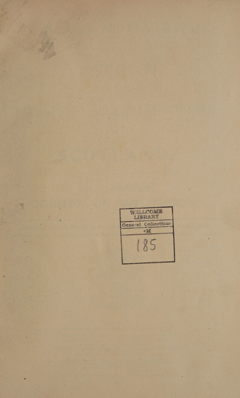      WaLLCOME LIBRARY PORCELAIN Sih SORES AIEEE AF POM m1 FAT