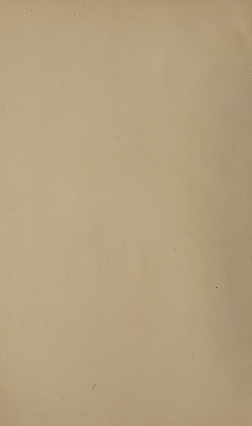 ny Any hin Ait if i JA ee 1 hath ha   . 4 \ ? RUT N a 9p ¢ . r A “f} is a f iy pa tT a ; : ¢ ‘ive;  