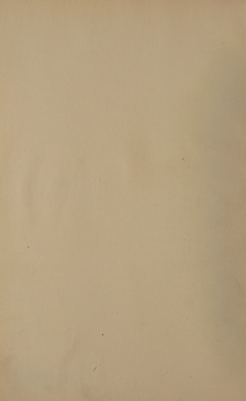 a Cas Eat) batt oes S                4 y it ? LoVe Bo as i , hy oA ’ ae? BVA Ven gee eran ea \ VAL Ly ae ‘ ea ' t “ ‘ i ; it ] } ashe | ' an pf ‘aa | t : 1 oe re Pa ci ini SACU 4 i eS PR bend | ‘ » ‘ r. f té pty! 4 : 5 i yt ‘ 1 L ” ; J : | J ‘ 6 ' 1 +14 : \ i] , . ‘ ; ‘ ’ : Np / iH iv ge | - / i i i ‘ ; wt Poe eet wi pieaveat i wu N Gaal ’ } aad HBA  nyt A ye 4] ¥ ‘ Wits,  