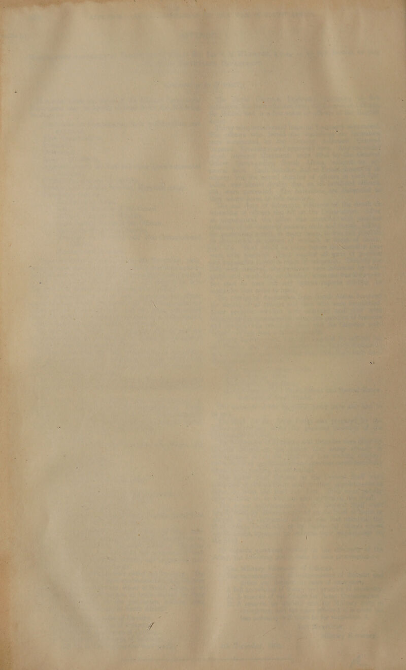                                        s r ' Wen: | ral ‘ ‘ aan yw ne Bill ona ‘ i ' ¥ erga Wid al a iF * a . r r Ree | alae? VN ani , i \ fs im | “ve De an Neat 1 / 3 ; Ui an, i, — / Wey. Meh Hi) Peet at ee, + hj r Ake ae , : } i { uf Ten ean i, na hhaee Tt ; i ‘2 ( / y - i 1) Eby ¢. * . - Wy 4 ea) 2 , , i ; j j y o. 4) ’ vy “ i ee ¥ yh, vr eae ini) i , . ie Paltialy i i ane ye aided  nae ms ltusvit 0 : bic chad (on Seems een ae Ra, hy Det! iP eye oe rity?     , ct r] Tab | orien  an ey we me “SRS | of Catan eset (he SAI ‘ oh ihe bs    / hn £m ra, isp, Rik wn Ce ade 2 bia Sa EAL et; ; a pa bie Meany Bef. Ay) hel Se ert yt pai iaee Aare INT ita pean han Pe ea yw! rainy» Naas hs +5 hs Ushi eR AAR” faith eat) fe ey th. 1s He We Re on * dit dank bia Cy G wren otis,  Say 4 pe hailing Boniey ie i 1K, ae bs Nene Poa | Py EP re ‘Sats Chg peers Wa Aaae pasa, 2) f Gas si , i niihe os | pric R te ee ni A eran’, ety / we y's an} ih bad fry Seg ~ 3 rad rid. < Wee ry wheel jy Ale * T inate? a F ies F j ery 10           his to ide POR wee ers ; rh i a alterna So my eee ar Ry rade ie oF by 0 é ‘ oe ,  | Mae » eee Michie b Piptin be yt reges $0  
