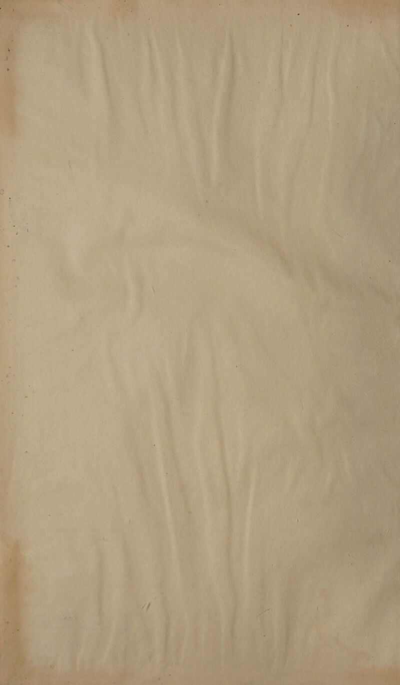  as
