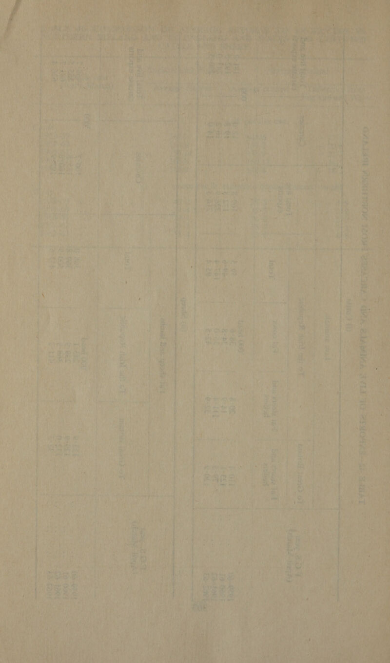 Pat, i lg pes ig 5. ma ae te ie a 2 mn hat ain TH Reeth Calta a a etliorme a Bae ies we ea ore ~~ See oO RS: Pay, SP ee ~ =x i Y Sees a ee ‘ 7 <> a a was of on ae bm es i ~ ees a or ores. Lt ol aS ee Ore eer - > So eS prereset oe ‘S13-3 