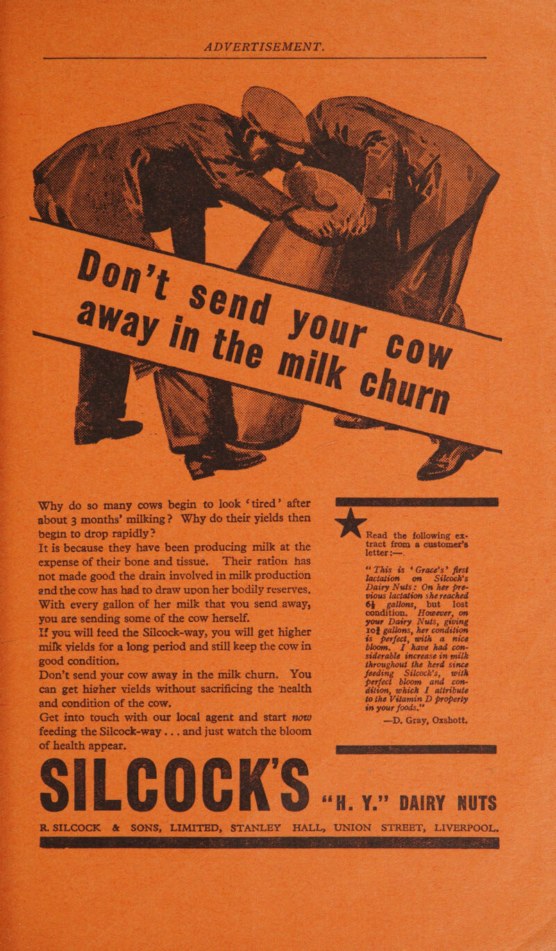 ADVERTISEMENT. Why do so many cows begin to look ‘tired’ after about 3 months’ milking? Why do their yields then begin to drop rapidly > : : expense of their bone and tissue. Their ration has and the cow has had to draw upon her bodily reserves, With every gallon of her milk that you send away. you are sending some of the cow herself. : _If you will feed the Silcock-way, you will get higher milk yields for a long period and still keep the cow in good condition. : can get higher vields without sacrificing the nealth -and condition of the cow. __ . Get into touch with our local agent and start now feeding the Silcock-way . . . and just watch the bloom of health appear. __ See - tract from a customer's letter :-—. “* This és ‘ Grace's’ first lactation. on Silcock's Dairy. Nuts: On her pre- vious lactation she reached 64 gallons, but lost condition. However, on your Dairy Nuts, gtving $s perfect, with a nice bloom. I have had con- feeding Silcock's, with perfect bloom and con- dition, which I attribute - to the Vitamin D property in your foods.”” ae —D. Gray, Oxshott. ILCOCKS ..... ss ‘R.SILCOCK & SONS, LIMITED, STANLEY HALL, UNION STREET, LIVERPOOL. ee