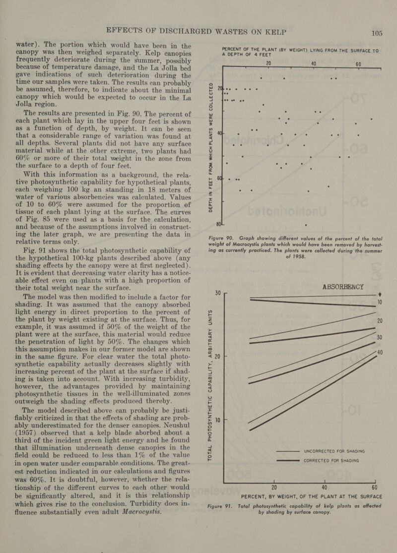 water). The portion which would have been in the canopy was then weighed separately. Kelp canopies frequently deteriorate during the summer, possibly because of temperature damage, and the La Jolla bed gave indications of such deterioration during the time our samples were taken. The results can probably be assumed, therefore, to indicate about the minimal eanopy which would be expected to occur in the La Jolla region. The results are presented in Fig. 90. The percent of each plant which lay in the upper four feet is shown as a function of depth, by weight. It can be seen that a considerable range of variation was found at all depths. Several plants did not have any surface material while at the other extreme, two plants had 60% or more of their total weight in the zone from the surface to a depth of four feet. With this information as a background, the rela- tive photosynthetic capability for hypothetical plants, each weighing 100 ke an standing in 18 meters of water of various absorbencies was calculated. Values of 10 to 60% were assumed for the proportion of tissue of each plant lying at the surface. The curves of Fig. 85 were used as a basis for the calculation, and because of the assumptions involved in construct- ing the later graph, we are presenting the data in relative terms only. Fig. 91 shows the total photosynthetic capability of the hypothetical 100-kg plants described above (any shading effects by the canopy were at first neglected). It is evident that decreasing water clarity has a notice- able effect even on plants with a high proportion of their total weight near the surface. The model was then modified to include a factor for shading. It was assumed that the canopy absorbed light energy in direct proportion to the percent of the plant by weight existing at the surface. Thus, for example, it was assumed if 50% of the weight of the plant were at the surface, this material would reduce the penetration of light by 50%. The changes which this assumption makes in our former model are shown in the same figure. For clear water the total photo- synthetic capability actually decreases slightly with increasing percent of the plant at the surface if shad- ing is taken into account. With increasing turbidity, however, the advantages provided by maintaining photosynthetic tissues in the well-illuminated zones outweigh the shading effects produced thereby. The model described above can probably be justi- fiably criticized in that the effects of shading are prob- ably underestimated for the denser canopies. Neushul (1957) observed that a kelp blade aborbed about a third of the incident green light energy and he found that illumination underneath dense canopies in the field could be reduced to less than 1% of the value in open water under comparable conditions. The great- est reduction indicated in our calculations and figures was 60%. It is doubtful, however, whether the rela- tionship of the different curves to each other would be significantly altered, and it is this relationship which gives rise to the conclusion. Turbidity does in- fluence substantially even adult Macrocystis. DEPTH IN FEET FROM WHICH PLANTS WERE COLLECTED  80 ° Figure 90. Graph showing different values of the percent of the total weight of Macrocystis plants which would have been removed by harvest- ing as currently practiced. The plants were collected during the summer of 1958. ABSORBENCY AC SLUM. OAT Of Babe Bal By ot aes a UNCORRECTED FOR SHADING 30  TOTAL PHOTOSYNTHETIC CAPABILITY, ARBITRARY UNITS wees §=&lt;CORRECTED FOR SHADING  20 40 60 PERCENT, BY WEIGHT, OF THE PLANT AT THE SURFACE Figure 91. Total photosynthetic capability of kelp plants as affected by shading by surface canopy.