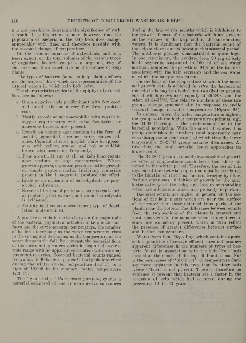 it is not possible to determine the significance of such a result. It is important to note, however, that the population of bacteria in the kelp beds does change appreciably with time, and therefore possibly with the seasonal change of temperature. On the basis of numbers of individuals, and to a lesser extent, on the total volumes of the various types of organisms, bacteria comprise a large majority of the microbial flora which live on the surface of kelp plants. The types of bacteria found on kelp plant surfaces are the same as those which are representative of the littoral waters in which kelp beds exist. The characteristics typical of the epiphytic bacterial flora are as follows: a. Gram negative rods preddminant with few cocci and spiral rods and a very few Gram positive rods. b. Mostly aerobie or microaerophilic with regard to oxygen requirements with some facultative or anaerobic bacteria also present. e. Growth on peptone agar medium in the form of smooth, pigmented, circular, entire, convex col- onies. Pigment of most, greyish white in appear- ance with yellow, orange, and red or reddish brown also occurring frequently. d. Poor growth, if any at all, on kelp homogenate agar medium at any concentration. Where growth appears, organism produces better growth on simple peptone media. Inhibitory materials present in the homogenate produce the effect. e. Little or no utilization of carbohydrate or poly- alcohol substrates. f. Strong utilization of proteinaceous materials such as peptone, yeast extract, and casein hydrolysate is evidenced. 2, Motility is of common occurrence; type of flagel- lation undetermined. A positive correlation exists between the magnitude of the bacterial population attached to kelp blade sur- faces and the environmental temperature, the number of bacteria increasing as the water temperature rises in the spring and decreasing as the temperature of the water drops in the fall. By contrast, the bacterial flora of the surrounding waters varies in magnitude over a wide range with no apparent correlation with seasonal temperature cycles. Recorded bacterial counts ranged from a low of 40 bacteria per em? of kelp blade surface during the winter (water temperature 13.4°C) to a high of 12,000 in the summer (water temperature 173°C): The “‘giant kelp,’’ Macrocystis pyrifera, exudes a during the late winter months which is inhibitory to the growth of most of the bacteria which are present on the surface of the kelp and in the surrounding waters. It is significant that the bacterial count of the kelp surface is at its lowest at this seasonal period. The antibiotic potency demonstrated is quite high. In one experiment, the exudate from 20 mg of kelp blade segments, suspended in 100 ml of sea water medium, inhibited the growth of 94% of the bacteria associated with the kelp segments and the sea water in which the sample was taken. On the basis of the temperature at which the maxi- mal growth rate is achieved in vitro the bacteria of the kelp beds may be divided into two distinct groups, one of which grows most rapidly at 26-28°C and the other, at 34-38°C. The relative numbers of these two groups change systematically in response to eyclic seasonal change in water temperature (Figure 96). In summer, when the water temperature is highest, the group with the higher temperature optimum, e.g., the 34-38°C group, is the predominant one in the bacterial population. With the onset of winter, this group diminishes in numbers (and apparently may even disappear in some eases) at which time the lower temperature, 26-28°C group assumes dominance. At this time, the total bacterial count approaches its lowest point. The 34-38°C group is nonetheless capable of growth in vitro at temperatures much lower than those at- tained in the winter period. Therefore, the loss of this segment of the bacterial population must be attributed to the function of attritional factors. Grazing by filter- feeding organisms, inhibition of growth by the anti- biotic activity of the kelp, and loss to surrounding water are all factors which are probably important. Bacterial counts are higher in general on the sec- tions of the kelp plants which are near the surface of the water than those obtained from parts of the plants near the bottom. The difference between counts from the two sections of the plants is greatest and most consistent in the summer when strong thermo- clines are commonly present, which in turn reflect the presence of greater differences between surface and bottom temperatures. Water from San Diego Bay, which contains appre- ciable quantities of sewage effluent, does not produce apparent differences in the numbers or types of bac- teria found in association with the kelp from beds located at the mouth of the bay off Point Loma. Nor is the occurrence of ‘‘black rot’’ or temperature dam- age more apparent in this area than in other beds where effluent is not present. There is therefore no evidence at present that bacteria are a factor in the recession of kelp which had occurred during the