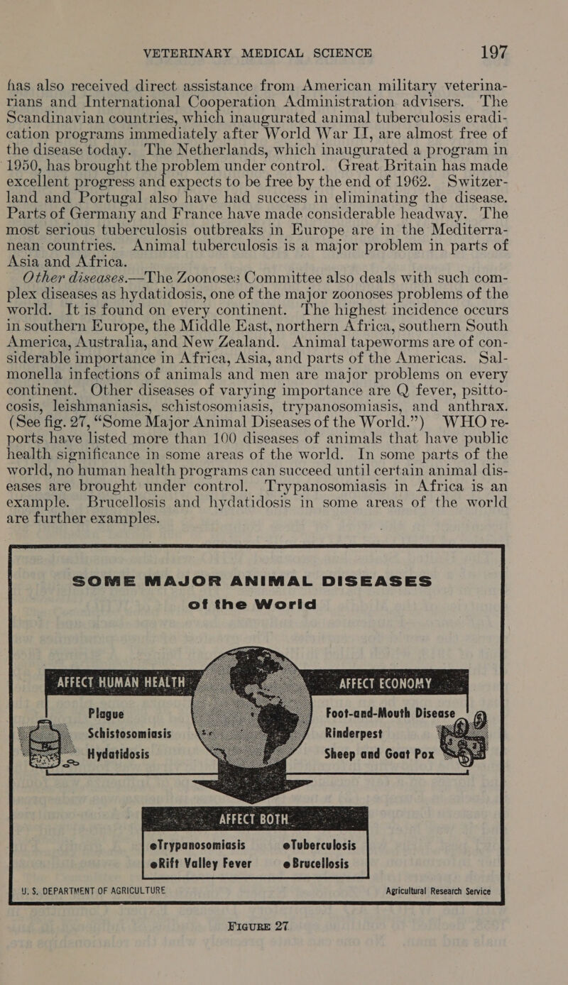 has also received direct assistance from American military veterina- rians and International Cooperation Administration advisers. The Scandinavian countries, which inaugurated animal tuberculosis eradi- cation programs immediately after World War II, are almost free of the disease today. The Netherlands, which inaugurated a program in 1950, has brought the problem under control. Great Britain has made excellent progress and expects to be free by the end of 1962. Switzer- land and Portugal also have had success in eliminating the disease. Parts of Germany and France have made considerable headway. The most serious tuberculosis outbreaks in Europe are in the Mediterra- nean countries. Animal tuberculosis is a major problem in parts of Asia and Africa. Other diseases.—The Zoonoses Committee also deals with such com- plex diseases as hydatidosis, one of the major zoonoses problems of the world. It is found on every continent. The highest incidence occurs in southern Europe, the Middle East, northern Africa, southern South America, Australia, and New Zealand. Animal tapeworms are of con- siderable importance in Africa, Asia, and parts of the Americas. Sal- monella infections of animals and men are major problems on every continent. Other diseases of varying importance are Q fever, psitto- cosis, leishmaniasis, schistosomiasis, trypanosomiasis, and anthrax. ( See fig. 27, “Some Major Animal Diseases of the World. ») WHO re- ports have listed more than 100 diseases of animals that have public health significance in some areas of the world. In some parts of the world, no ) human health programs can succeed until certain animal dis- eases are brought under control. Trypanosomiasis in Africa is an example. Brucellosis and hydatidosis in some areas of the world are further examples. SOME MAJOR ANIMAL DISEASES of the Worid “AFFECT HUMAN HEALTH ¢ AFFECT ECONOMY .- Plague ae Foot-and-Mouth Disease Schistosomiasis Rinderpest fa Hydatidosis Sheep and Goat Pox eTrypanosomiasis eTuberculosis eRift Valley Fever e Brucellosis  Y. §. DEPARTMENT OF AGRICULTURE Agricultural Research Service FIGURE 27