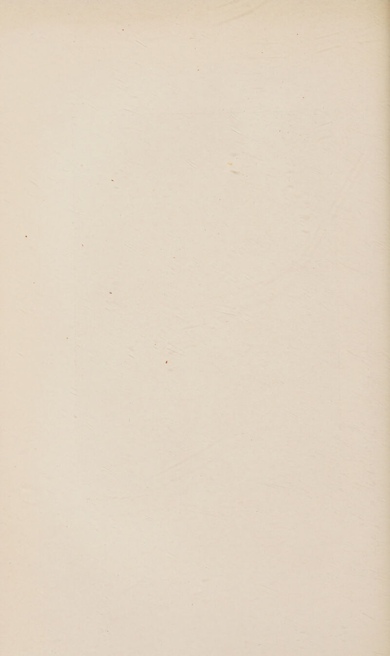 ; : A Se D RC à ‘ LP) 