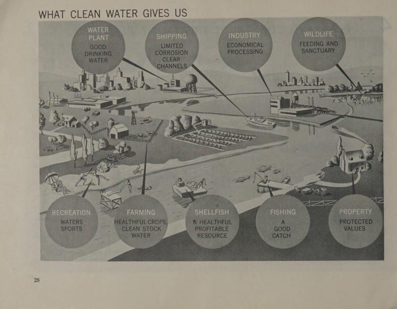 WHAT CLEAN WATER GIVES US ~ SHIPPING. INDUSTRY WILDLIFE