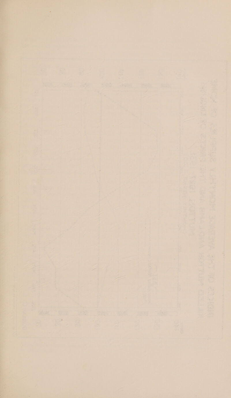 ‘ almey Sea ee ed “ at od 7 { Ls oo Xe RR RE gator Tage “el 7 = eae 7 nd . F Pee hae hae _ i ten Ya x ® = 7 bs | Looms a, ‘ wus xe : : ; j i f] i eon 3 “4 7 ¥ b « 5 2 E a ee at os 7 a  ad Hi - : ae ye oo