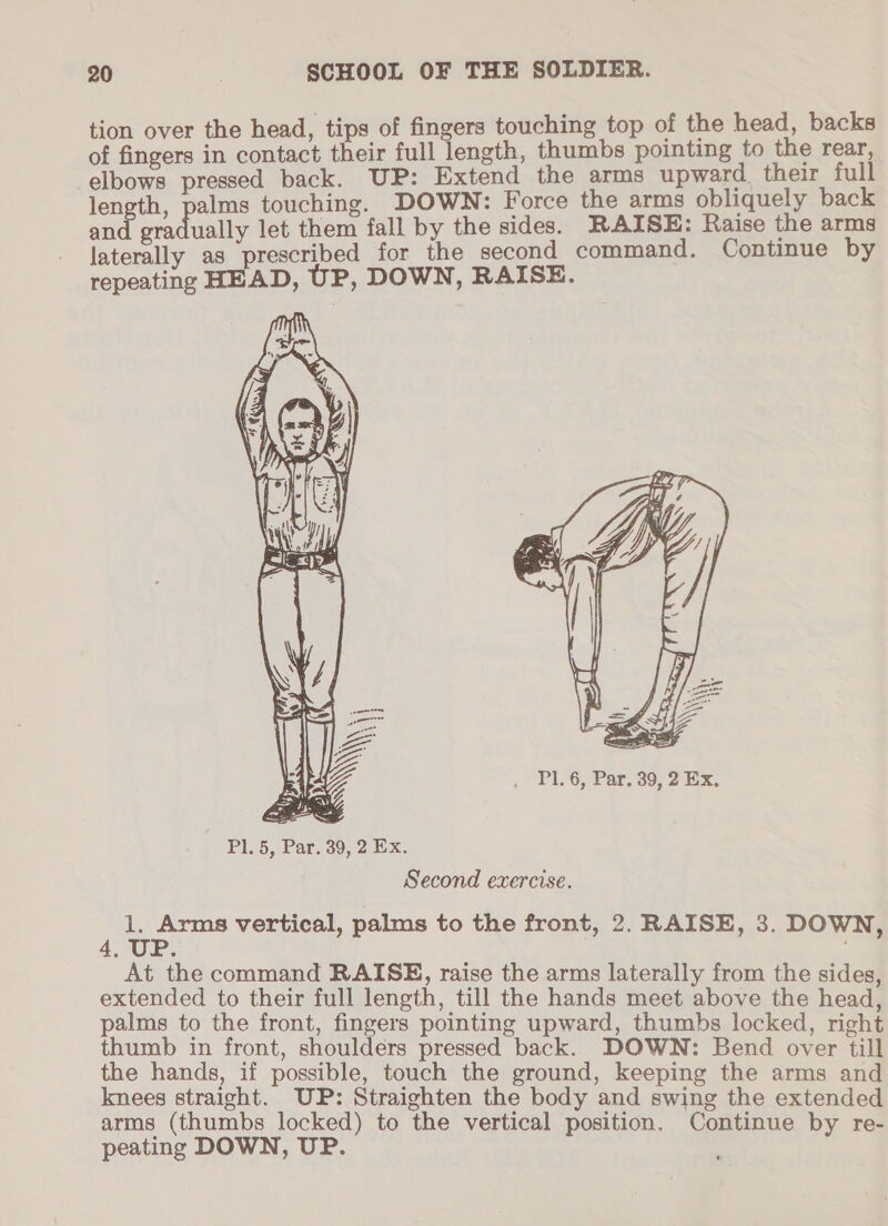 tion over the head, tips of fingers touching top of the head, backs of fingers in contact their full length, thumbs pointing to the rear, elbows pressed back. UP: Extend the arms upward, their full length, palms touching. DOWN: Force the arms obliquely back and gradually let them fall by the sides. RAISE: Raise the arms laterally as prescribed for the second command. Continue by repeating HEAD, UP, DOWN, RAISE.   Pl. 5, Par. 39, 2 Ex. Second exercise. 1. Arms vertical, palms to the front, 2. RAISE, 3. DOWN, 4, UP. é At the command RAISE, raise the arms laterally from the sides, extended to their full length, till the hands meet above the head, palms to the front, fingers pointing upward, thumbs locked, right thumb in front, shoulders pressed back. DOWN: Bend over till the hands, if possible, touch the ground, keeping the arms and knees straight. UP: Straighten the body and swing the extended arms (thumbs locked) to the vertical position. Continue by re- peating DOWN, UP.