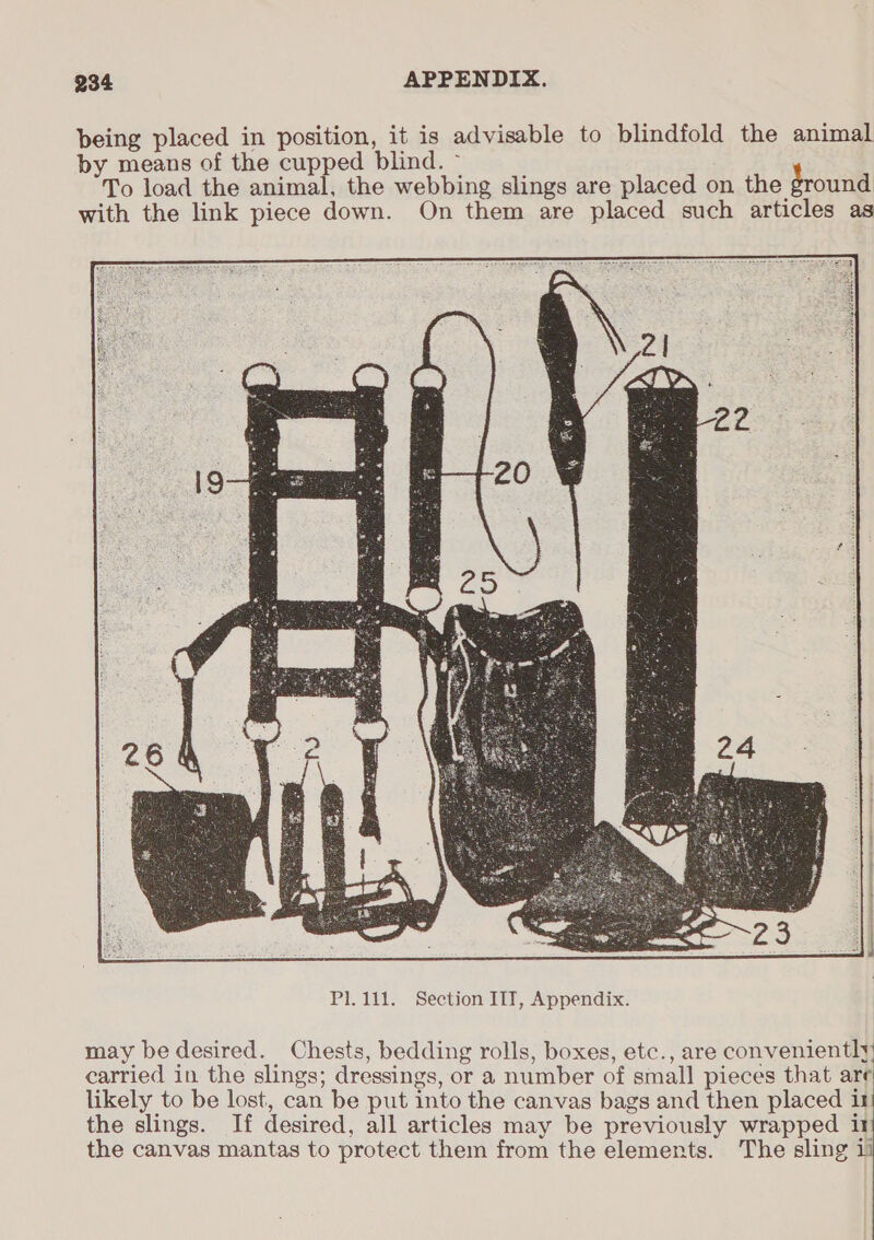 being placed in position, it is advisable to blindfold the animal by means of the cupped blind. - To load the animal, the webbing slings are placed on the ground with the link piece down. On them are placed such articles as  may be desired. Chests, bedding rolls, boxes, etc., are conveniently carried in the slings; dressings, or a number of small pieces that are likely to be lost, can be put into the canvas bags and then placed i the slings. If desired, all articles may be previously wrapped it