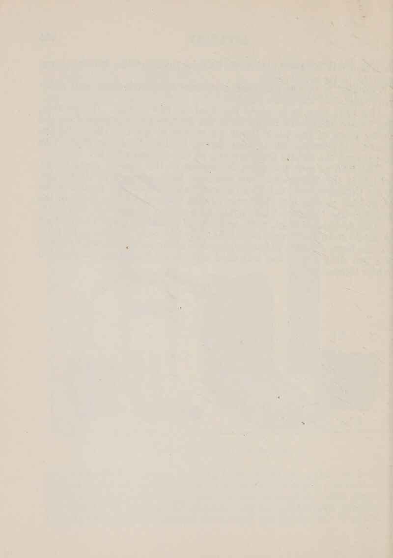 * meal aie SoS Ses: SMTy ee 