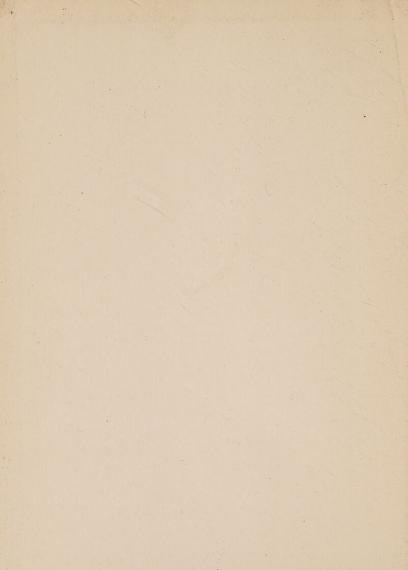 yee wer aie at ee ee be pete é &gt; oF i= sy 2 a 