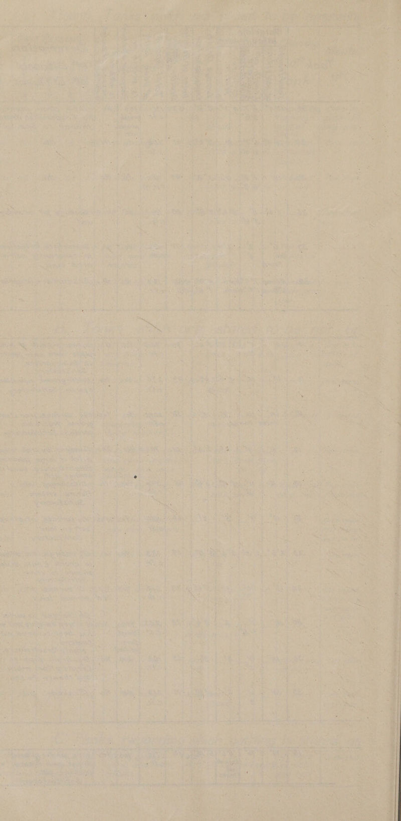 eee apa ee iy seven re 