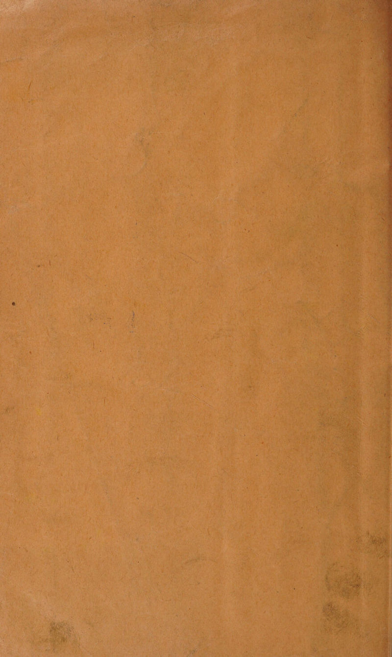  Se ae at Steinem ri mmseunth pt vemeree ee: