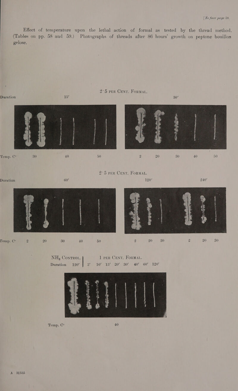 Effect of temperature upon the lethal action of formal as tested by the thread method. (Tables on pp. 58 and 59.) Photographs of threads after 86 hours’ growth on peptone bouillon gelose, 2°5 per Cent. Format. Duration pears { i i 4 ; 4 i i t i § H ae d % & Temp. C° 30 40 50 2 20 30 40 50 2°5 per Cent. FORMAL. Duration 60’ 1207 240’ to 20 30 bo ~~ — we S Temp. C° 2 20 30 40 50 1 per Cent. ForMAL. NH, Controt. Sau Ome toemeo’ 230054051. 602 1207 Duration 120’ Temp. C°