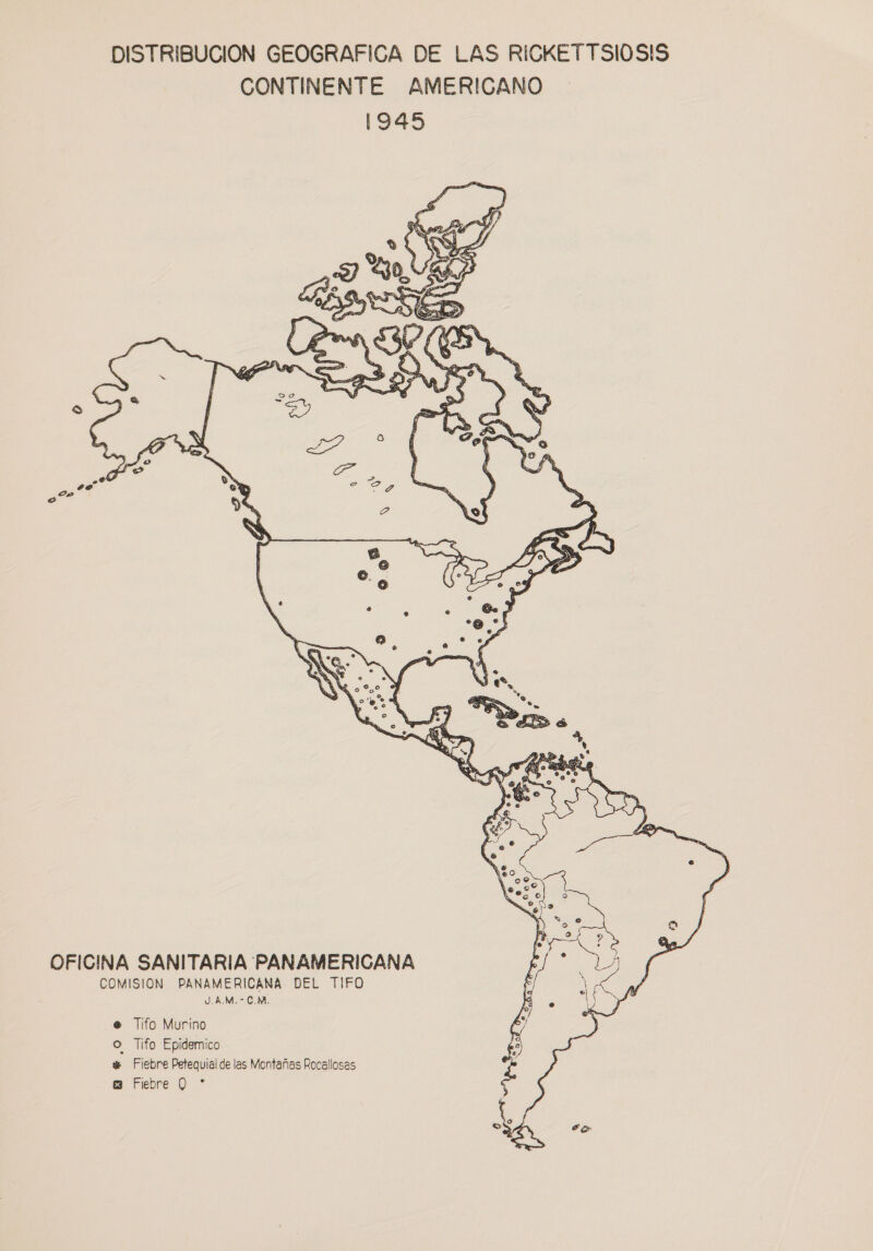  OFICINA SANITARIA PANAMERICANA COMISION PANAMERICANA DEL TIFO J.A.M.-C.M. e Tifo Murino o Tifo Epidemico + Fiebre Petequial de las Montañas Rocallosas Fiebre Q *