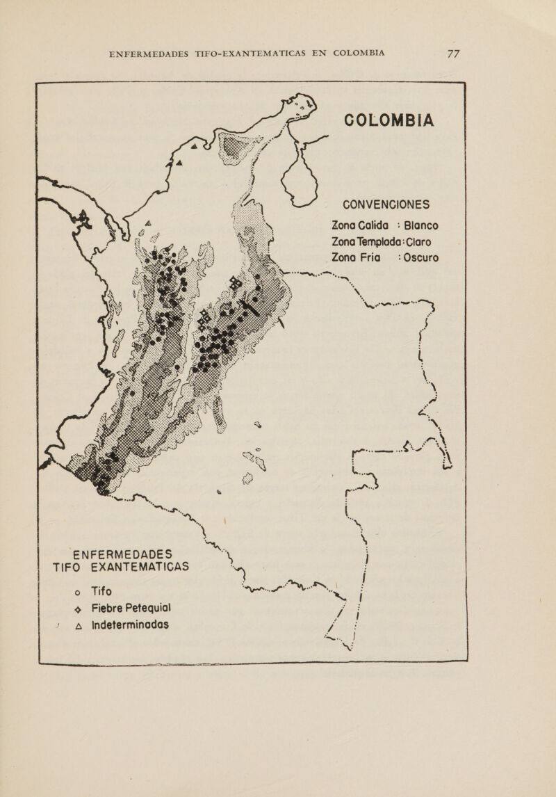        CONVENCIONES Zona Calida : Blanco Zona Templada: Claro Zona Fria : Oscuro O a N *, di $ ENFERMEDADES TIFO EXANTEMATICAS o Tifo o Fiebre Petequial , A Indeterminadas