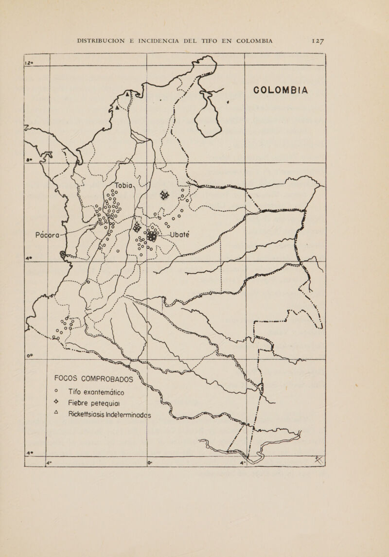 COLOMBIA   a   S COMPROBADOS FOCO o  ático % Fiebre petequial A Tifo exantem Rickettsiasis Indeterminadas  O&lt; 4e 40
