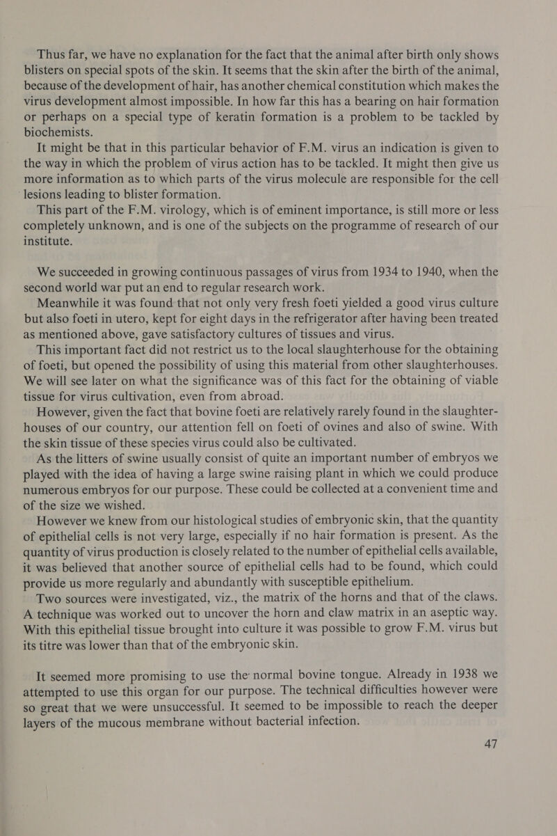 Thus far, we have no explanation for the fact that the animal after birth only shows blisters on special spots of the skin. It seems that the skin after the birth of the animal, because of the development of hair, has another chemical constitution which makes the virus development almost impossible. In how far this has a bearing on hair formation or perhaps on a special type of keratin formation is a problem to be tackled by biochemists. It might be that in this particular behavior of F.M. virus an indication is given to the way in which the problem of virus action has to be tackled. It might then give us more information as to which parts of the virus molecule are responsible for the cell lesions leading to blister formation. This part of the F.M. virology, which is of eminent importance, is still more or less completely unknown, and is one of the subjects on the programme of research of our institute. We succeeded in growing continuous passages of virus from 1934 to 1940, when the second world war put an end to regular research work. 3 Meanwhile it was found that not only very fresh foeti yielded a good virus culture but also foeti in utero, kept for eight days in the refrigerator after having been treated as mentioned above, gave satisfactory cultures of tissues and virus. This important fact did not restrict us to the local slaughterhouse for the obtaining of foeti, but opened the possibility of using this material from other slaughterhouses. We will see later on what the significance was of this fact for the obtaining of viable tissue for virus cultivation, even from abroad. However, given the fact that bovine foeti are relatively rarely found in the slaughter- houses of our country, our attention fell on foeti of ovines and also of swine. With the skin tissue of these species virus could also be cultivated. As the litters of swine usually consist of quite an important number of embryos we played with the idea of having a large swine raising plant in which we could produce numerous embryos for our purpose. These could be collected at a convenient time and of the size we wished. However we knew from our histological studies of embryonic skin, that the quantity of epithelial cells is not very large, especially if no hair formation is present. As the quantity of virus production is closely related to the number of epithelial cells available, it was believed that another source of epithelial cells had to be found, which could provide us more regularly and abundantly with susceptible epithelium. Two sources were investigated, viz., the matrix of the horns and that of the claws. A technique was worked out to uncover the horn and claw matrix in an aseptic way. With this epithelial tissue brought into culture it was possible to grow F.M. virus but its titre was lower than that of the embryonic skin. It seemed more promising to use the normal bovine tongue. Already in 1938 we attempted to use this organ for our purpose. The technical difficulties however were so great that we were unsuccessful. It seemed to be impossible to reach the deeper layers of the mucous membrane without bacterial infection.