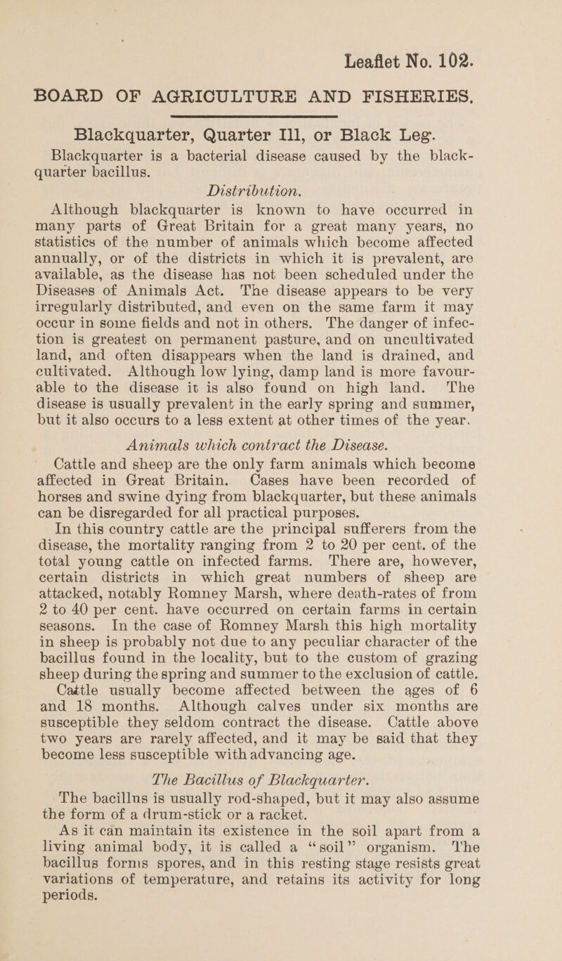 BOARD OF AGRICULTURE AND FISHERIES, Blackquarter, Quarter Ill, or Black Leg. Blackquarter is a bacterial disease caused by the black- quarter bacillus. Distribution. Although blackquarter is known to have occurred in many parts of Great Britain for a great many years, no statistics of the number of animals which become affected annually, or of the districts in which it is prevalent, are available, as the disease has not been scheduled under the Diseases of Animals Act. The disease appears to be very irregularly distributed, and even on the same farm it may occur in some fields and not in others. The danger of infec- tion is greatest on permanent pasture, and on uncultivated land, and often disappears when the land is drained, and cultivated. Although low lying, damp land is more favour- able to the disease it is also found on high land. The disease is usually prevalent in the early spring and summer, but it also occurs to a less extent at other times of the year. Animals which contract the Disease. Cattle and sheep are the only farm animals which become affected in Great Britain. Cases have been recorded of horses and swine dying from blackquarter, but these animals can be disregarded for all practical purposes. In this country cattle are the principal sufferers from the disease, the mortality ranging from 2 to 20 per cent. of the total young cattle on infected farms. There are, however, certain districts in which great numbers of sheep are attacked, notably Romney Marsh, where death-rates of from 2 to 40 per cent. have occurred on certain farms in certain seasons. In the case of Romney Marsh this high mortality in sheep is probably not due to any peculiar character of the bacillus found in the locality, but to the custom of grazing sheep during the spring and summer to the exclusion of cattle. Cattle usually become affected between the ages of 6 and 18 months. Although calves under six months are susceptible they seldom contract the disease. Cattle above two years are rarely affected, and it may be said that they become less susceptible with advancing age. The Bacillus of Blackquarter. The bacillus is usually rod-shaped, but it may also assume the form of a drum-stick or a racket. As it can maintain its existence in the soil apart from a living animal body, it is called a “soil” organism. ‘The bacillus formis spores, and in this resting stage resists great variations of temperature, and retains its activity for long periods.