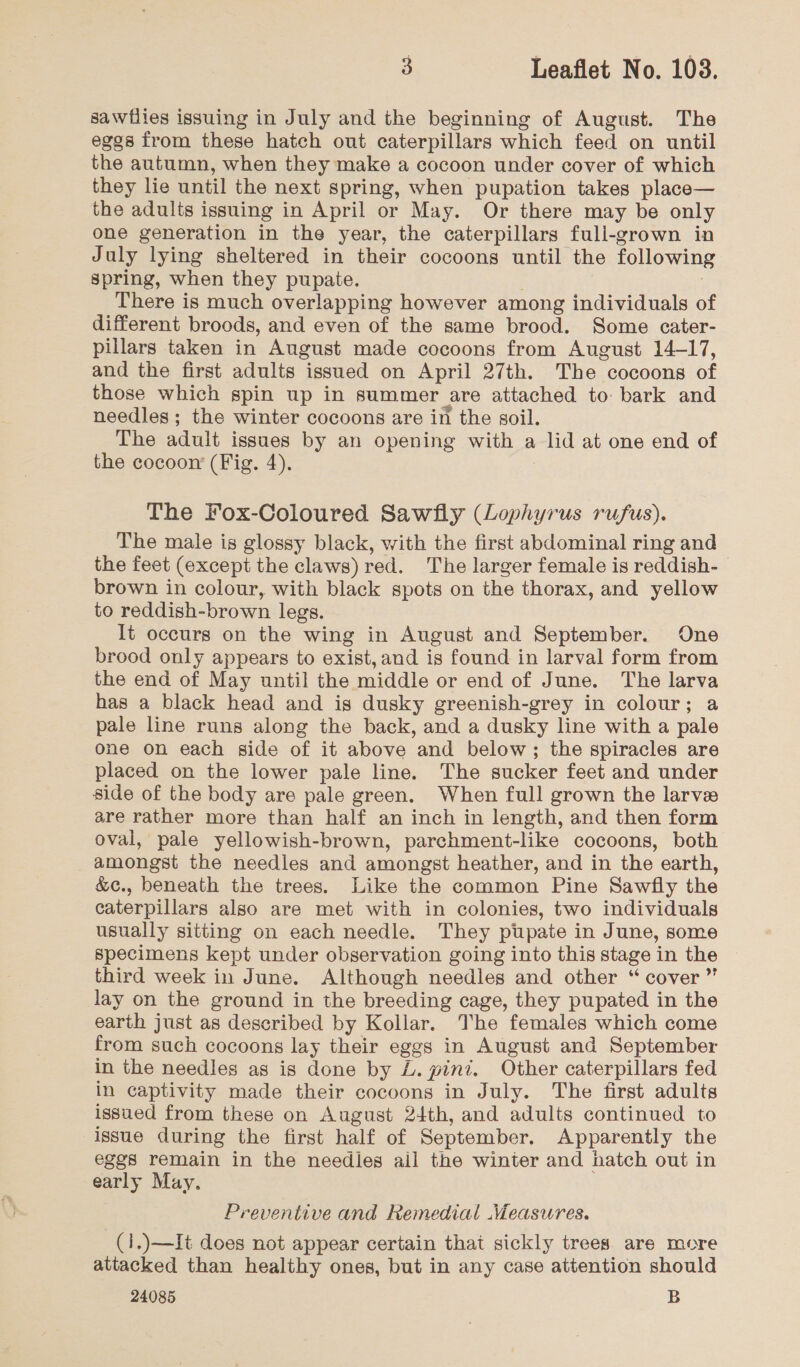 sawflies issuing in July and the beginning of August. The eggs from these hatch out caterpillars which feed on until the autumn, when they make a cocoon under cover of which they lie until the next Spring, when pupation takes place— the adults issuing in April or May. Or there may be only one generation in the year, the caterpillars full-grown in J uly lying sheltered in their cocoons until the following spring, when they pupate. There is much overlapping however among individuals of different broods, and even of the same brood. Some cater- pillars taken in August made cocoons from August 14-17, and the first adults issued on April 27th. The cocoons of those which spin up in summer are attached to bark and needles ; the winter cocoons are in the soil. The adult issues by an opening with a lid at one end of the cocoon (Fig. 4). The Fox-Coloured Sawfly (Lophyrus rufus). The male is glossy black, with the first abdominal ring and the feet (except the claws) red. The larger female is reddish- brown in colour, with black spots on the thorax, and yellow to reddish- brown legs. It occurs on the wing in August and September. One brood only appears to exist,and is found in larval form from the end of May until the middle or end of June. The larva has a black head and is dusky greenish-grey in colour; a pale line runs along the back, and a dusky line with a pale one on each side of it above and below; the spiracles are placed on the lower pale line. The sucker feet and under side of the body are pale green. When full grown the larvee are rather more than half an inch in length, and then form oval, pale yellowish-brown, parchment-like cocoons, both amongst the needles and amongst heather, and in the earth, &amp;c., beneath the trees. Like the common Pine Sawfly the caterpillars also are met with in colonies, two individuals usually sitting on each needle. They pupate in June, some specimens kept under observation going into this stage in the third week in June. Although needles and other “ cover ” lay on the ground in the breeding cage, they pupated in the earth just as described by Kollar. The females which come from such cocoons lay their eggs in August and September in the needles as is done by ZL. pint, Other caterpillars fed in captivity made their cocoons in July. The first adults issued from these on August 24th, and adults continued to issue during the first half of September. Apparently the eggs remain in the needies ail the winter and hatch out in early May. Preventive and Remedial Measures. (i.)—It does not appear certain thai sickly trees are more attacked than healthy ones, but in any case attention should 24085 B