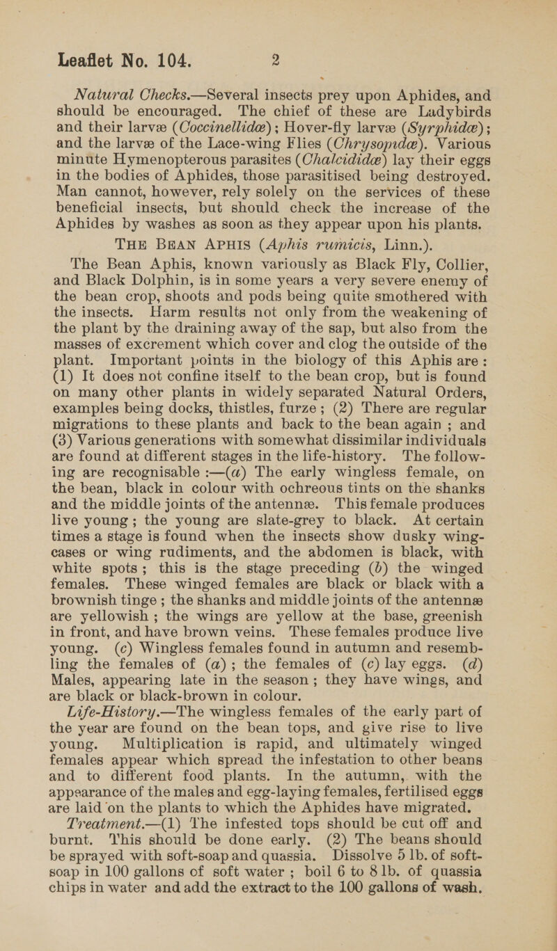Natural Checks.—Several insects prey upon Aphides, and should be encouraged. The chief of these are Ladybirds and their larve (Coccinellide) ; Hover-fly larve (Syrphide) ; and the larvee of the Lace-wing Flies (Chrysopide). Various minute Hymenopterous parasites (Chalcidide) lay their eggs in the bodies of Aphides, those parasitised being destroyed. Man cannot, however, rely solely on the services of these beneficial insects, but should check the increase of the Aphides by washes as soon as they appear upon his plants. THE BEAN APHIS (Aphis rumicis, Linn.). The Bean Aphis, known variously as Black Fly, Collier, and Black Dolphin, is in some years a very severe enemy of the bean crop, shoots and pods being quite smothered with the insects. Harm results not only from the weakening of the plant by the draining away of the sap, but also from the masses of excrement which cover and clog the outside of the plant. Important points in the biology of this Aphis are: (1) It does not confine itself to the bean crop, but is found on many other plants in widely separated Natural Orders, examples being docks, thistles, furze; (2) There are regular migrations to these plants and back to the bean again ; and (3) Various generations with somewhat dissimilar individuals are found at different stages in the life-history. The follow- ing are recognisable :—(a) The early wingless female, on the bean, black in colour with ochreous tints on the shanks and the middle joints of the antenne. This female produces live young; the young are slate-grey to black. At certain times a stage is found when the insects show dusky wing- cases or wing rudiments, and the abdomen is black, with white spots; this is the stage preceding (b) the winged females. These winged females are black or black with a brownish tinge ; the shanks and middle joints of the antennz are yellowish ; the wings are yellow at the base, greenish in front, and have brown veins. These females produce live young. (c) Wingless females found in autumn and resemb- ling the females of (a); the females of (c) lay eggs. (d) Males, appearing late in the season; they have wings, and are black or black-brown in colour. Life-History.—The wingless females of the early part of the year are found on the bean tops, and give rise to live young. Multiplication is rapid, and ultimately winged females appear which spread the infestation to other beans and to different food plants. In the autumn, with the appearance of the males and egg-laying females, fertilised eggs are laid on the plants to which the Aphides have migrated. Treaiment.—(1) The infested tops should be cut off and burnt. This should be done early. (2) The beans should be sprayed with soft-soap and quassia. Dissolve 5 1b. of soft- soap in 100 gallons of soft water ; boil 6 to 81lb. of quassia chips in water and add the extract to the 100 gallons of wash.
