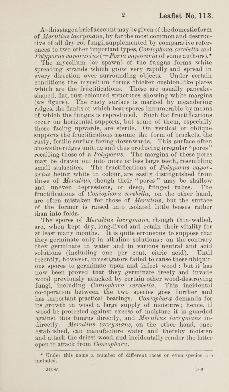 At thisstagea briefaccount may be given of the domestic form of Merulius lacrymans, by far the most common and destruc- tive of all dry rot fungi, supplemented by comparative refer- ences to two other important types, Coniophora cerebella and Polyporus vaporarius (=Poria vaporaria of some authors).* The mycelium (or spawn) of the fungus forms white spreading strands which grow very rapidly and spread in every direction over surrounding objects. Under certain conditions the mycelium forms thicker cushion-like plates which are the fructifications. These are usually pancake- shaped, flat, rust-coloured structures showing white margins (see figure). The rusty surface is marked by meandering ridges, the flanks of which bear spores innumerable by means of which the fungus is reproduced. Such flat fructifications occur on horizontal supports, but some of them, especially those facing upwards, are sterile. On vertical or oblique supports the fructifications assume the form of brackets, the rusty, fertile surface facing downwards. This surface often showstheridges uniting and thus producing irregular “ pores” recalling those of a Polyporus. ‘The margins of these pores may be drawn out into more or less large teeth, resembling small stalactites. The fructifications of Polyporus vapor- arius being white in colour, are easily distinguished from those of Merulius, though their “pores”? may be shallow and uneven depressions, or deep, fringed tubes. The fructifications of Coniophora cerebella, on the other hand, are often mistaken for those of Merulius, but the surface of the former is raised into isolated little bosses rather than into folds. The spores of Merulius lacrymans, though thin-walled, are, when kept dry, long-lived and retain their vitality for at least many months. It is quite erroneous to suppose that they germinate only in alkaline solutions: on the contrary they germinate in water and in various neutral and acid solutions (including one per cent. citric acid). Until recently, however, investigators failed to cause these ubiquit- ous spores to germinate upon and infect wood: but it has now been proved that they germinate freely and invade wood previously attacked by certain other wood-destroying fungi, including Coniophora cerebella. This incidental co-operation between the two species goes further and has important practical bearings. Coniophora demands for its growth in wood a large supply of moisture; hence, if wood be protected against excess of moisture it is guarded against this fungus directly, and Merulius lacrymans in- directly. Merulius lacrymans, on the other hand, once established, can manufacture water and thereby moisten and attack the driest wood, and incidentally render the latter open to attack from Coniophora.  * Under this name a number of different races or even species are included. 24085 D?